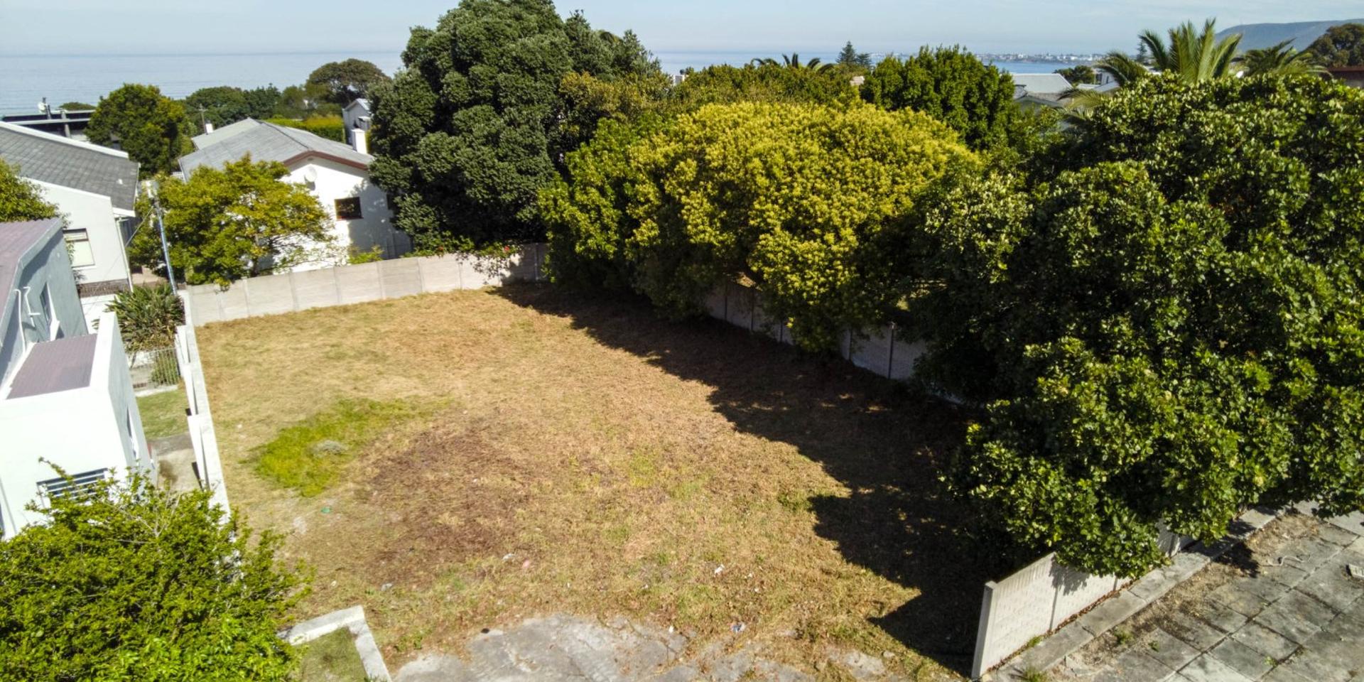 Image 5 of 6