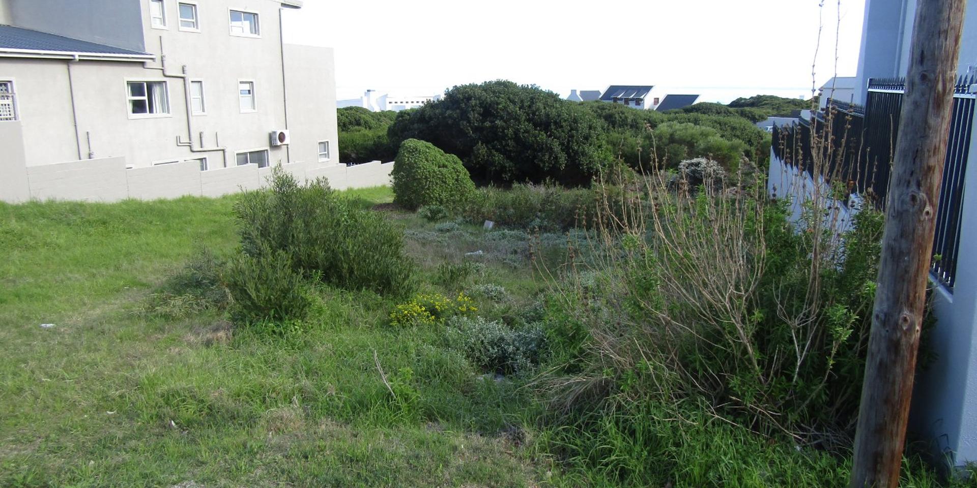 Image 3 of 6