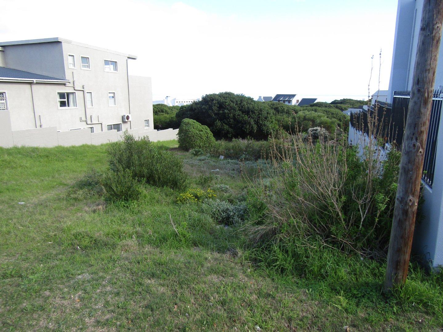Image 4 of 6