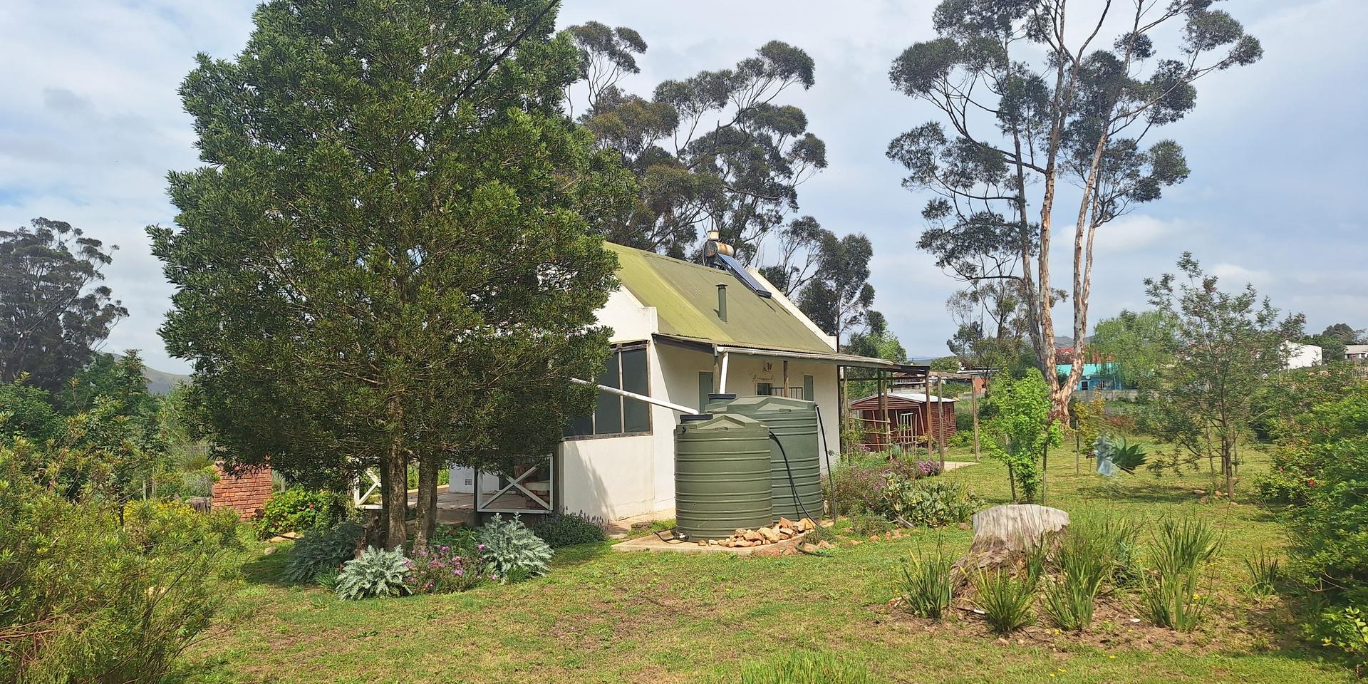 Image 5 of 6
