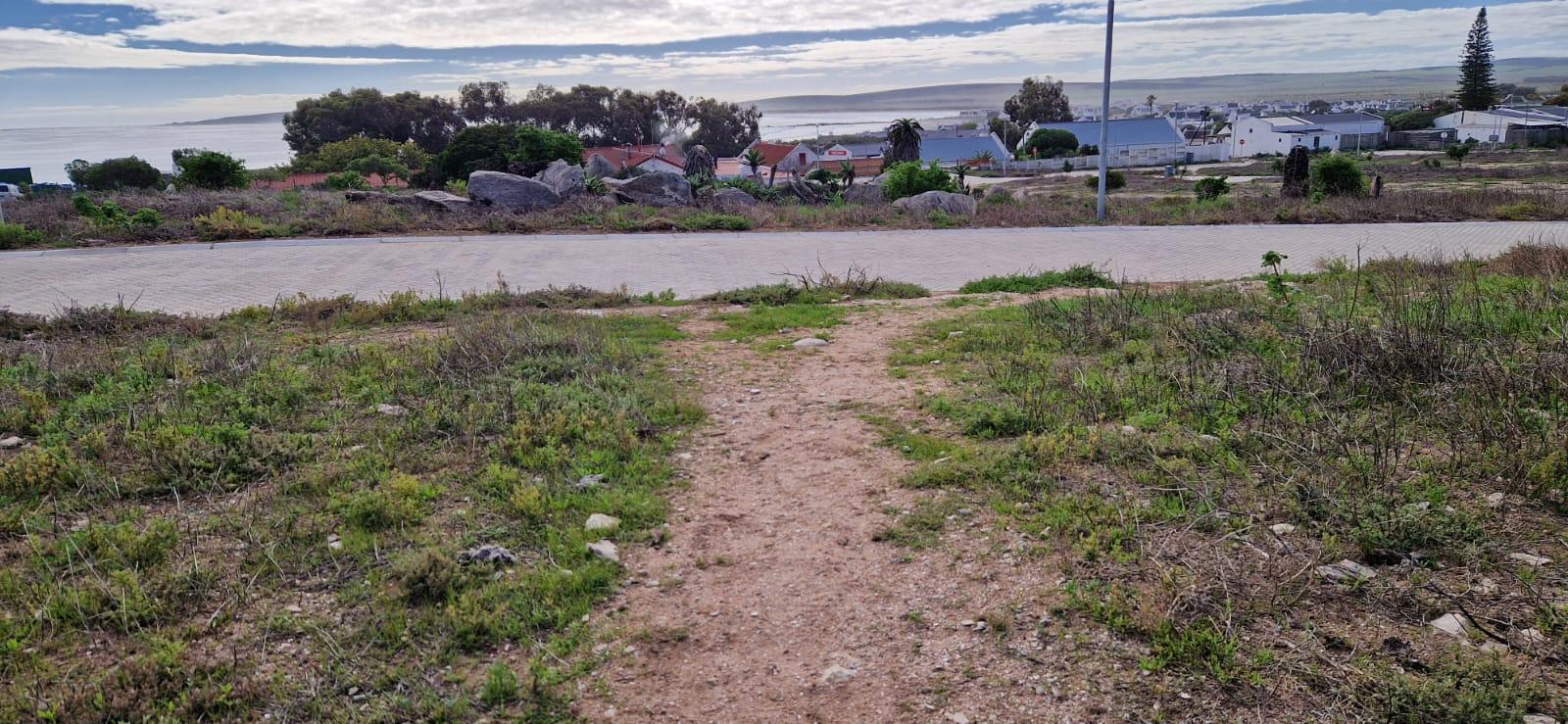 Image 13