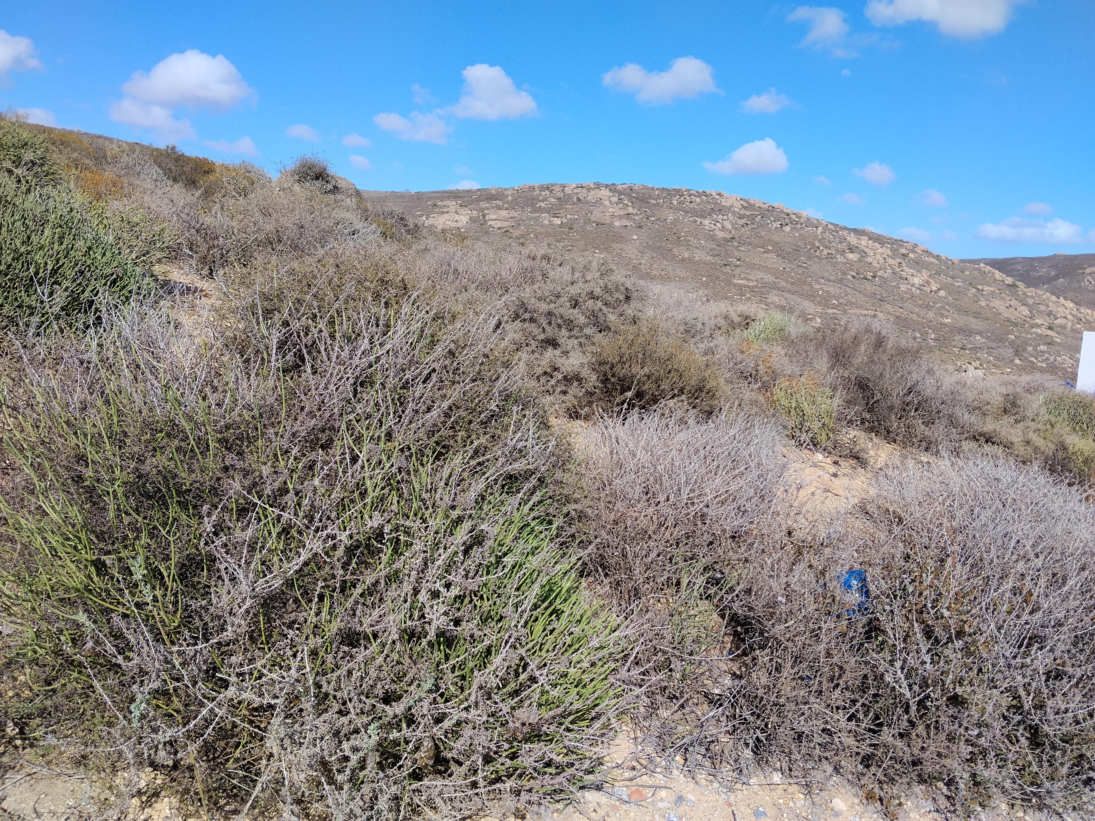 Image 4 of 6