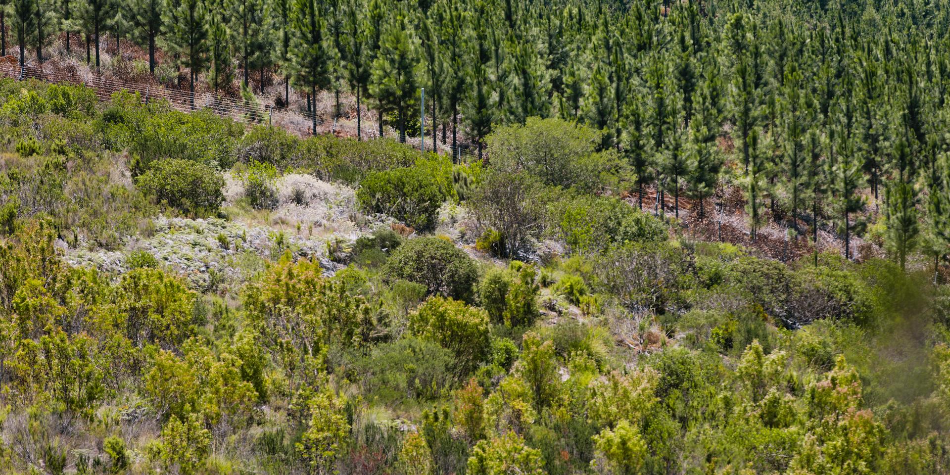 Image 5 of 6