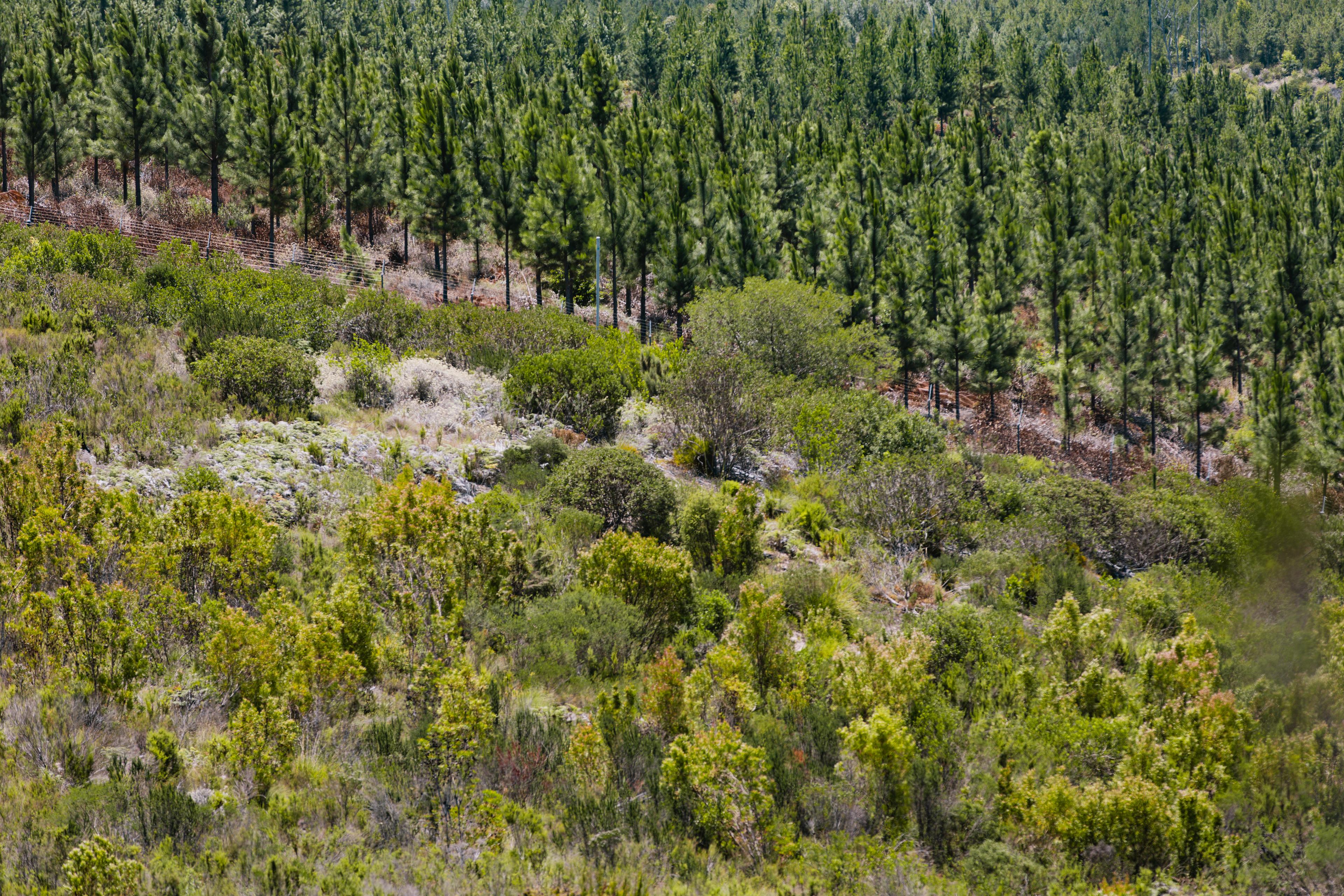 Image 5 of 6