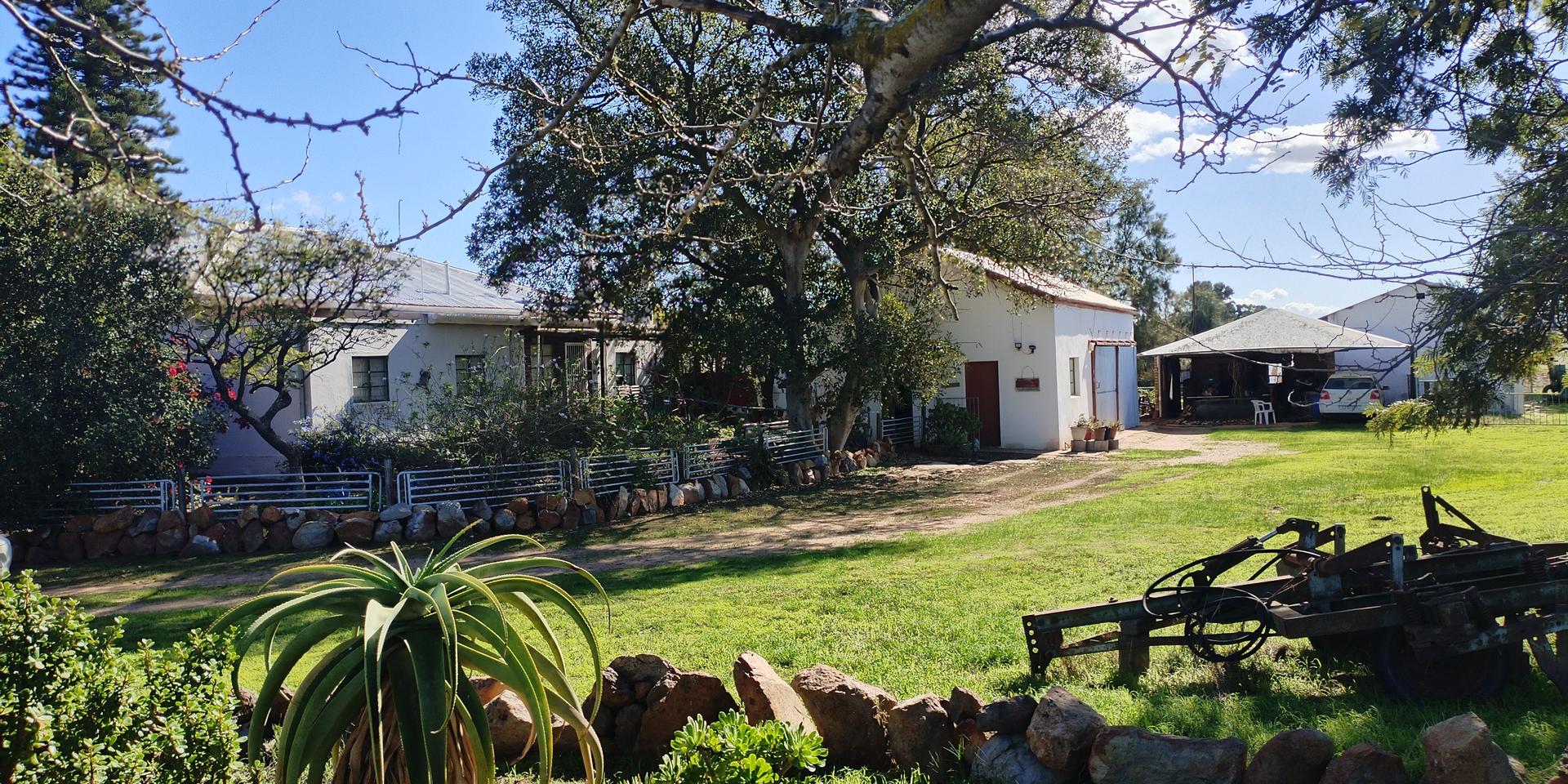 Image 4 of 6