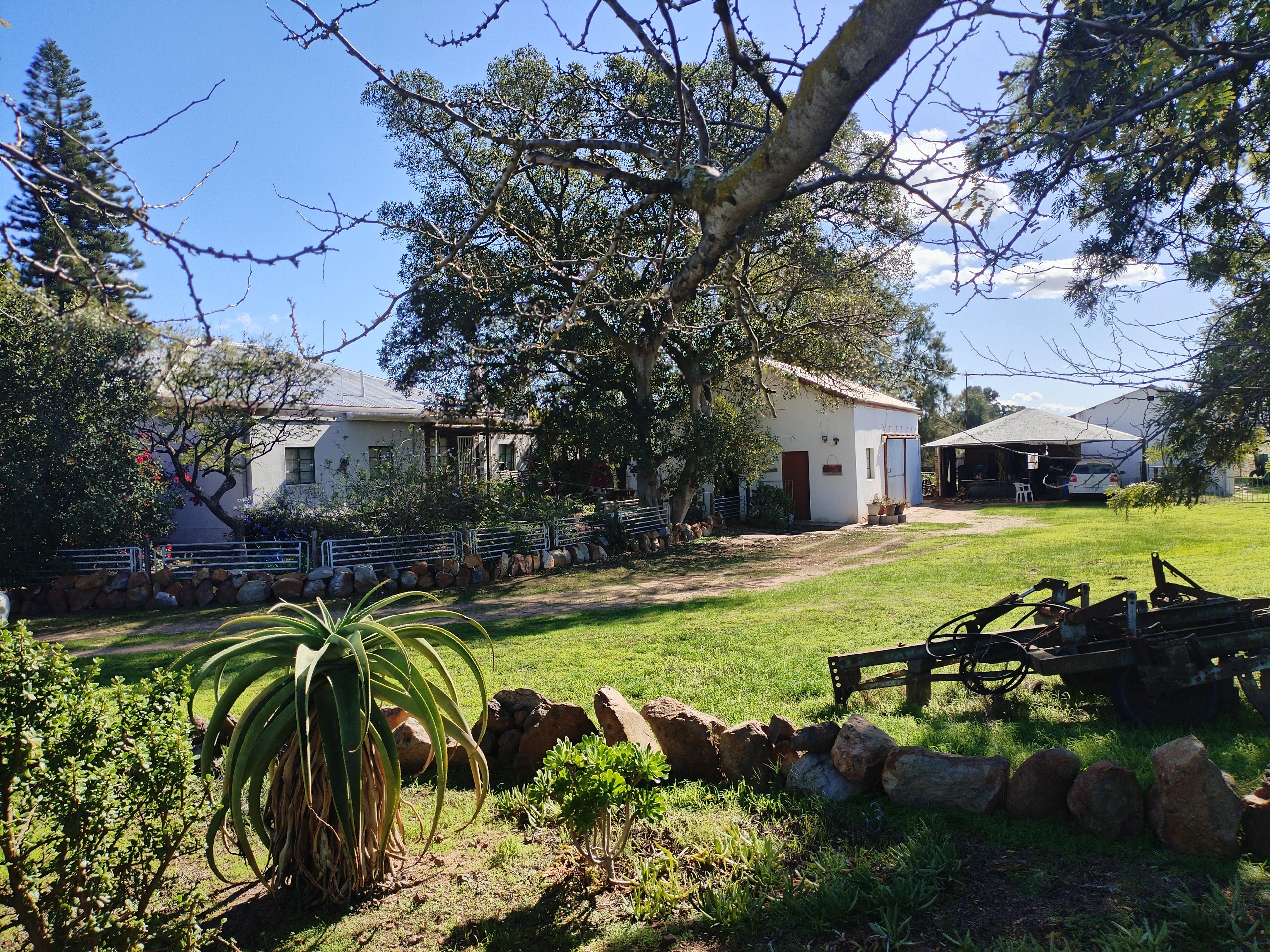 Image 4 of 6