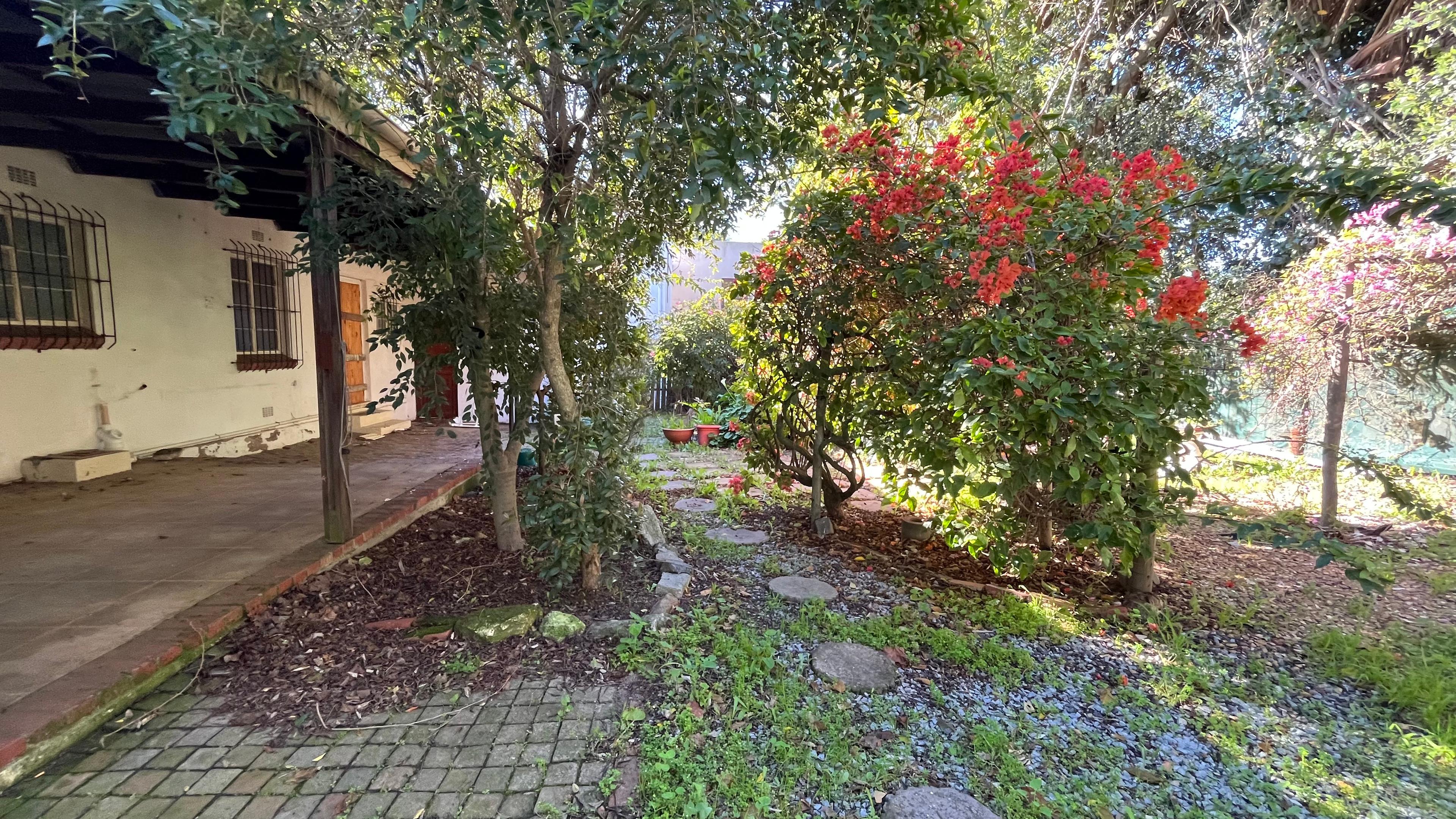 Image 13