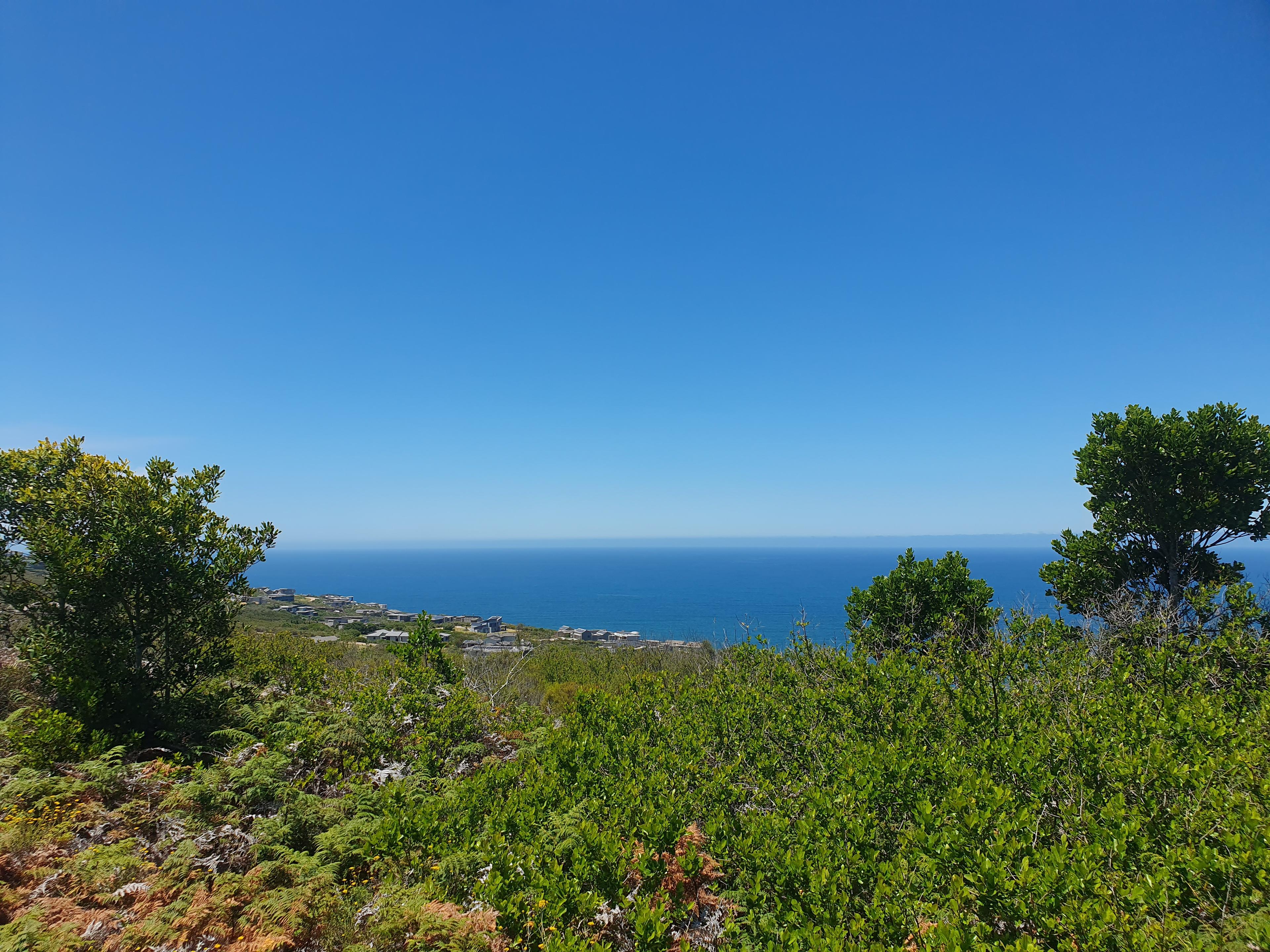 Image 4 of 6
