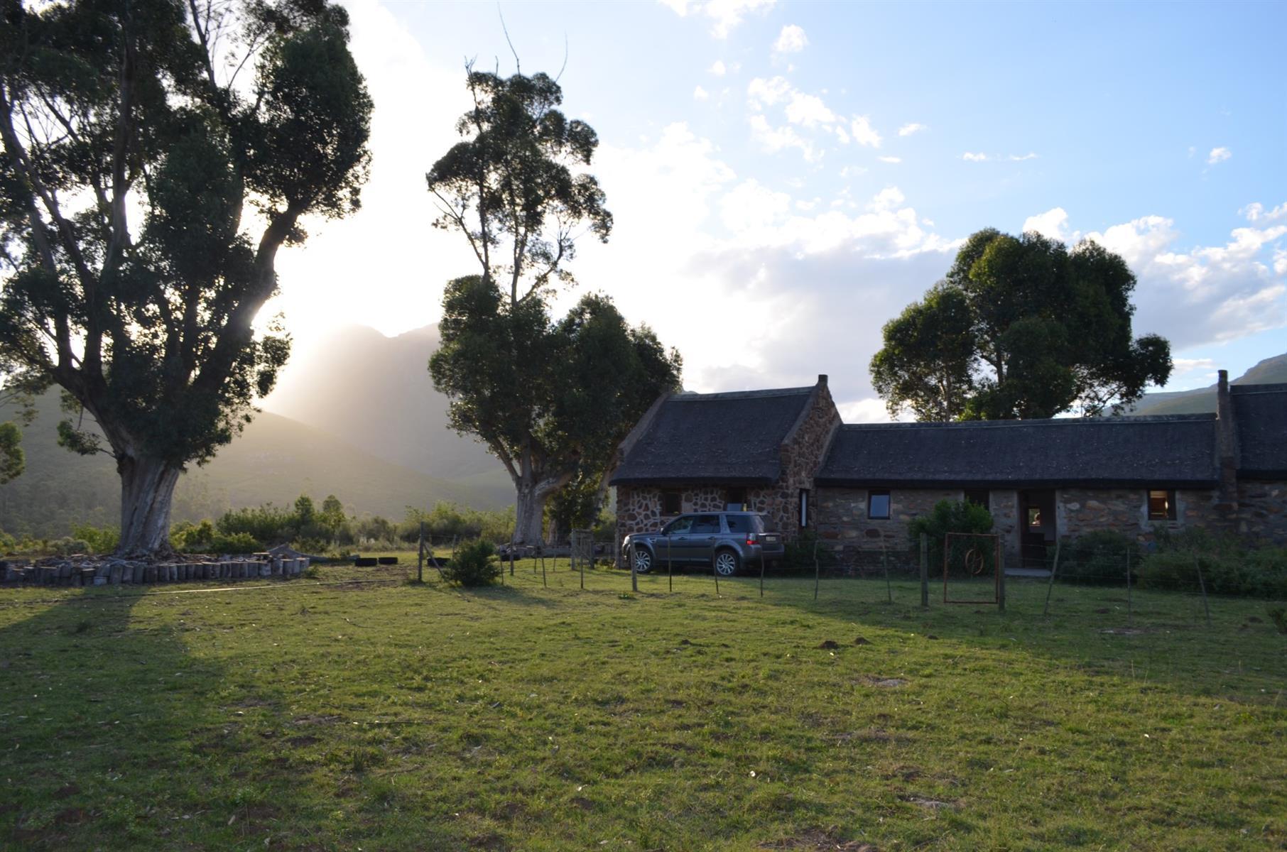 Image 25