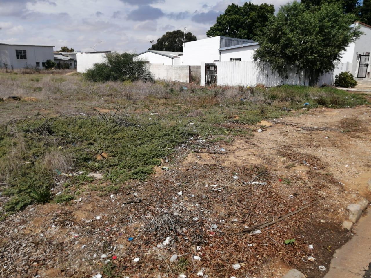 Image 7