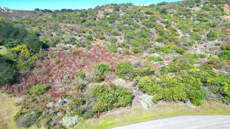 Main property image
