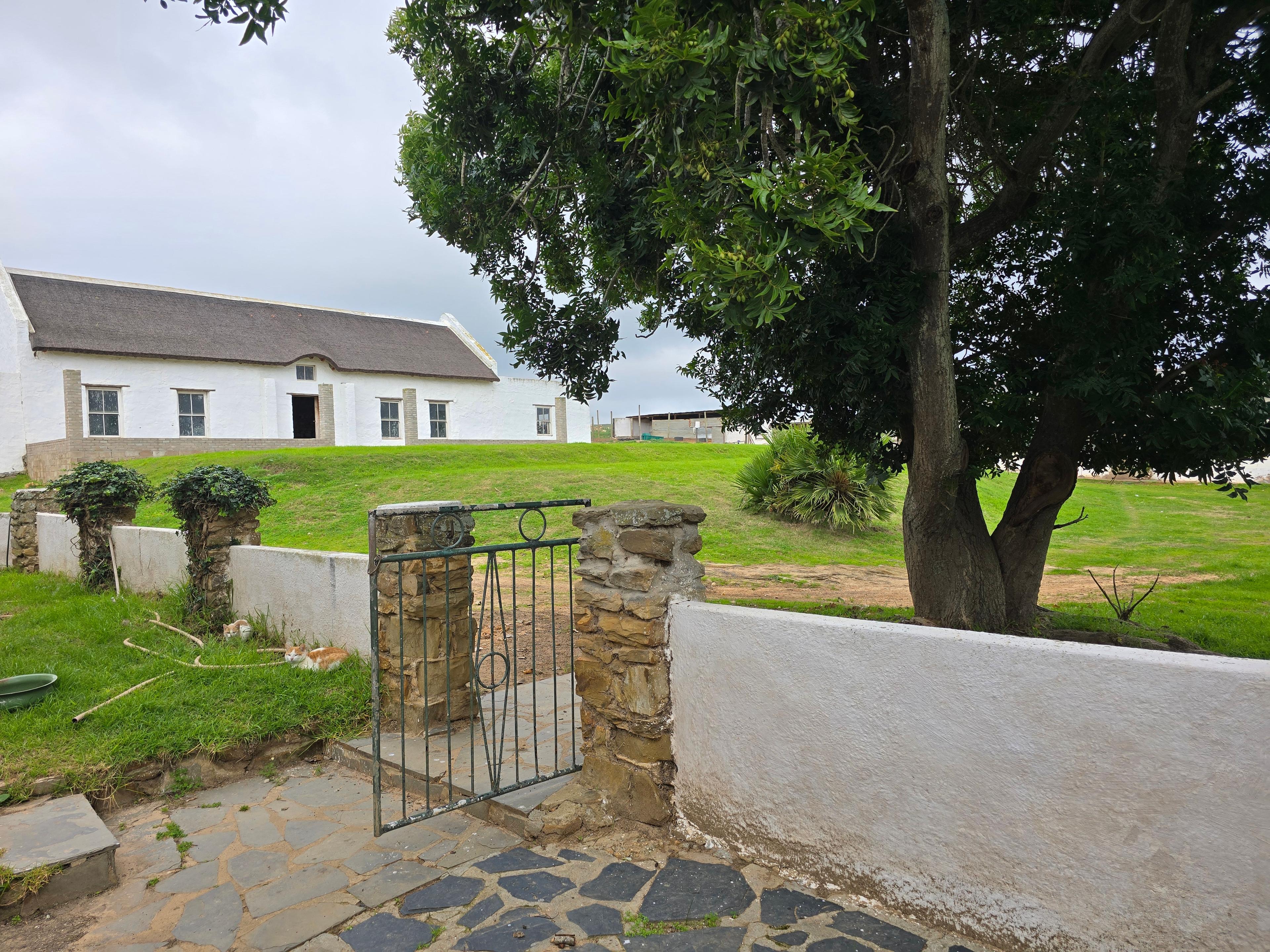 Image 13