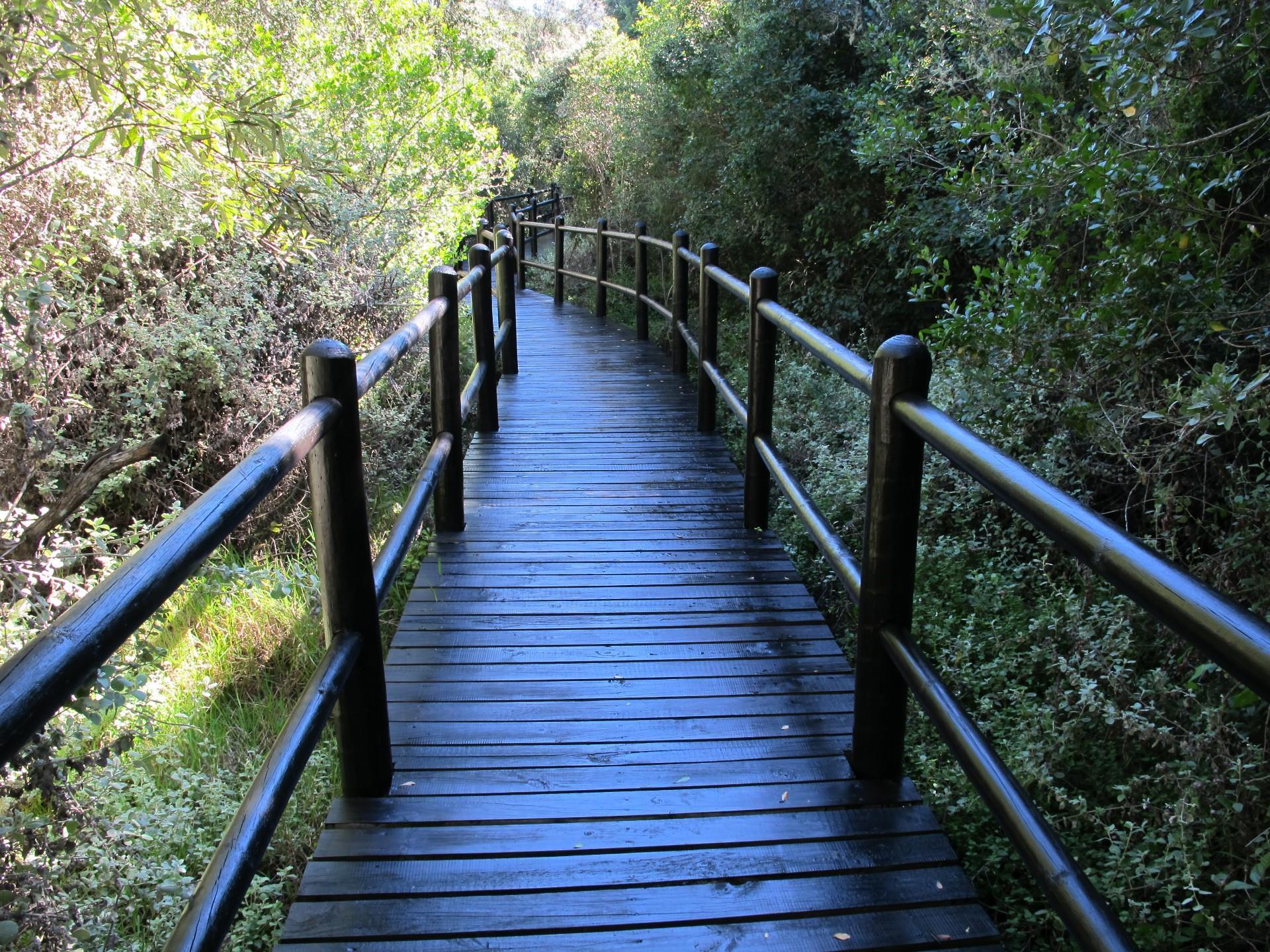 Image 13
