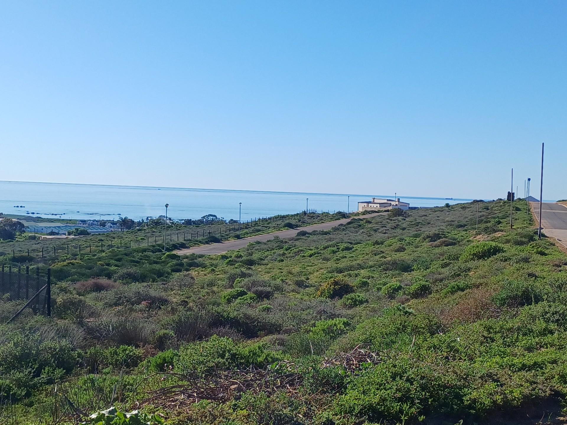 Image 15