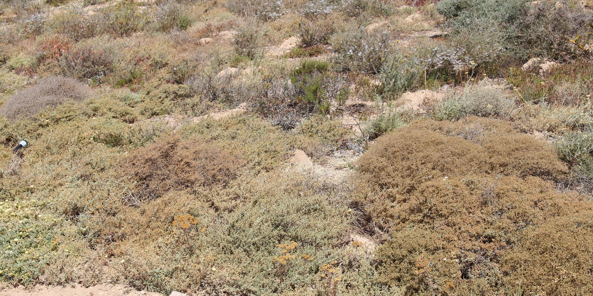 Image 3 of 6