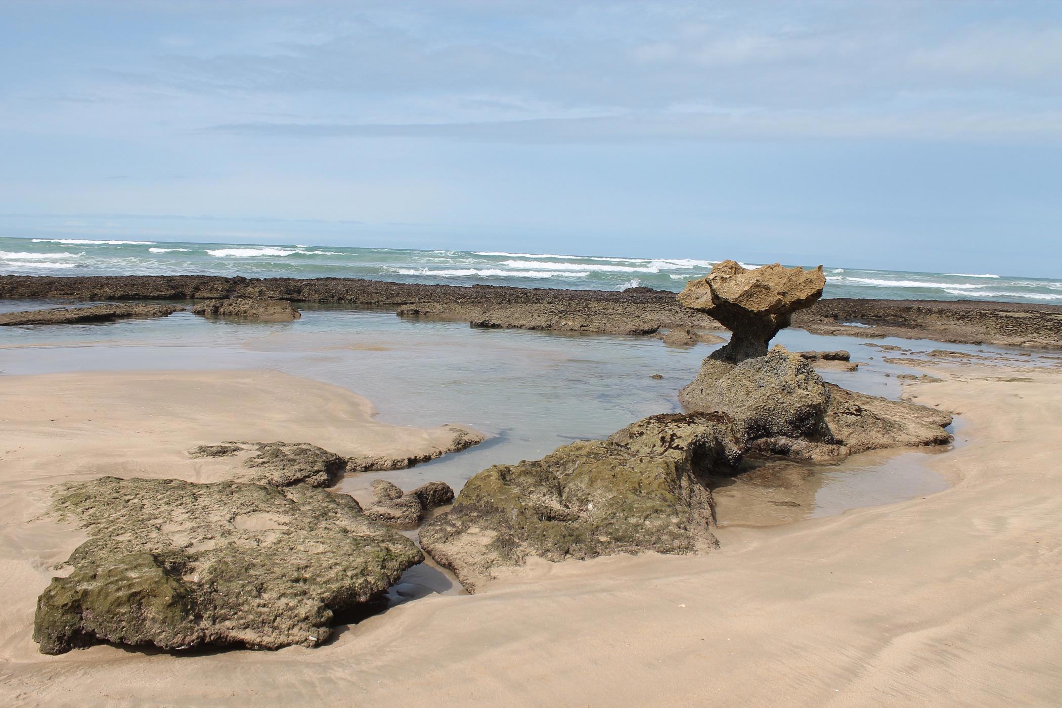 Image 1 of 6