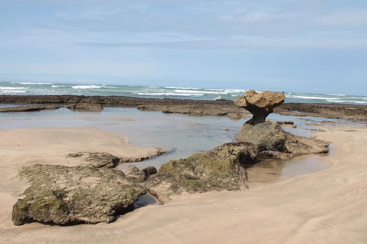 Main property image