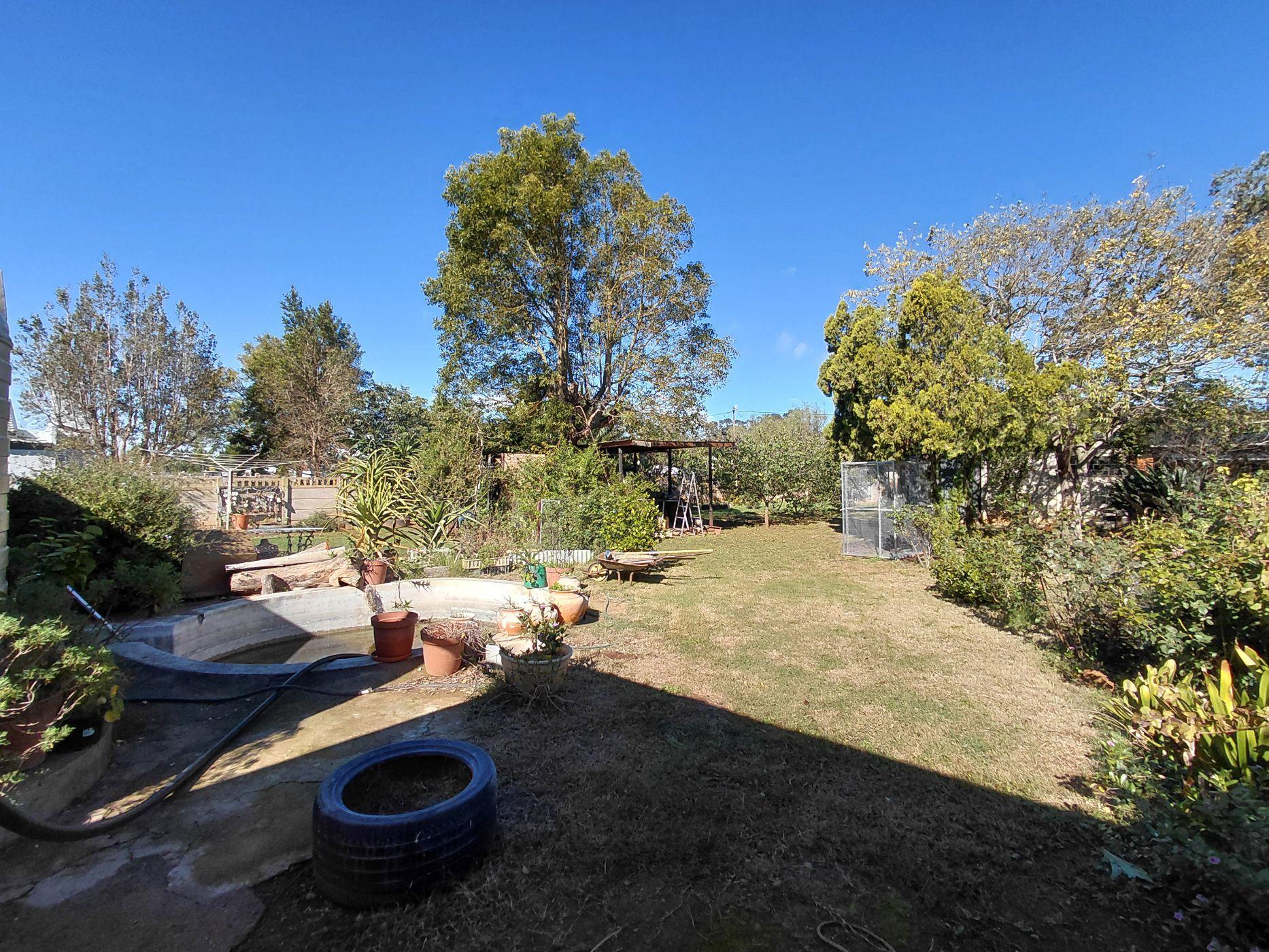 Image 41