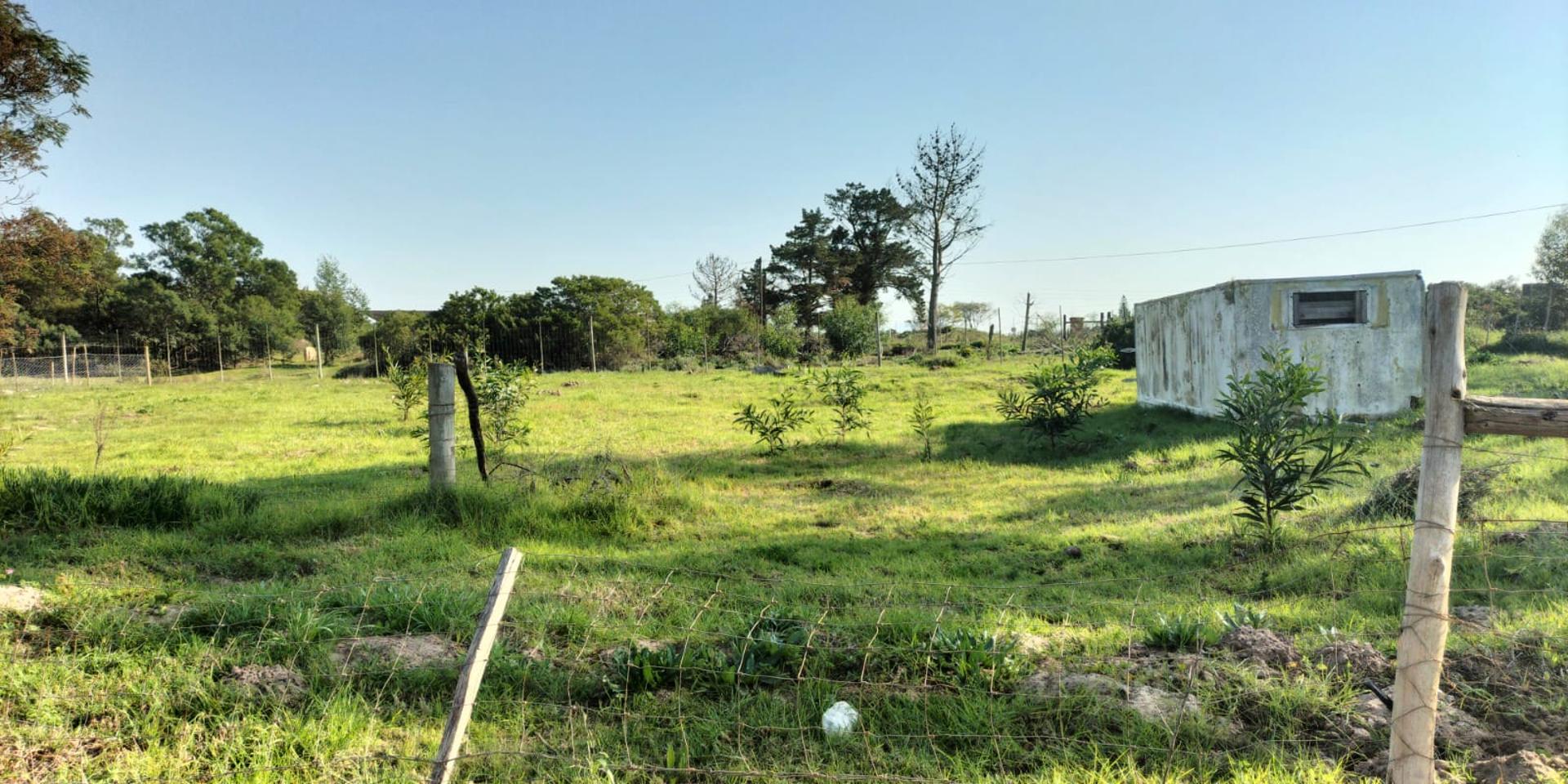 Image 4 of 6