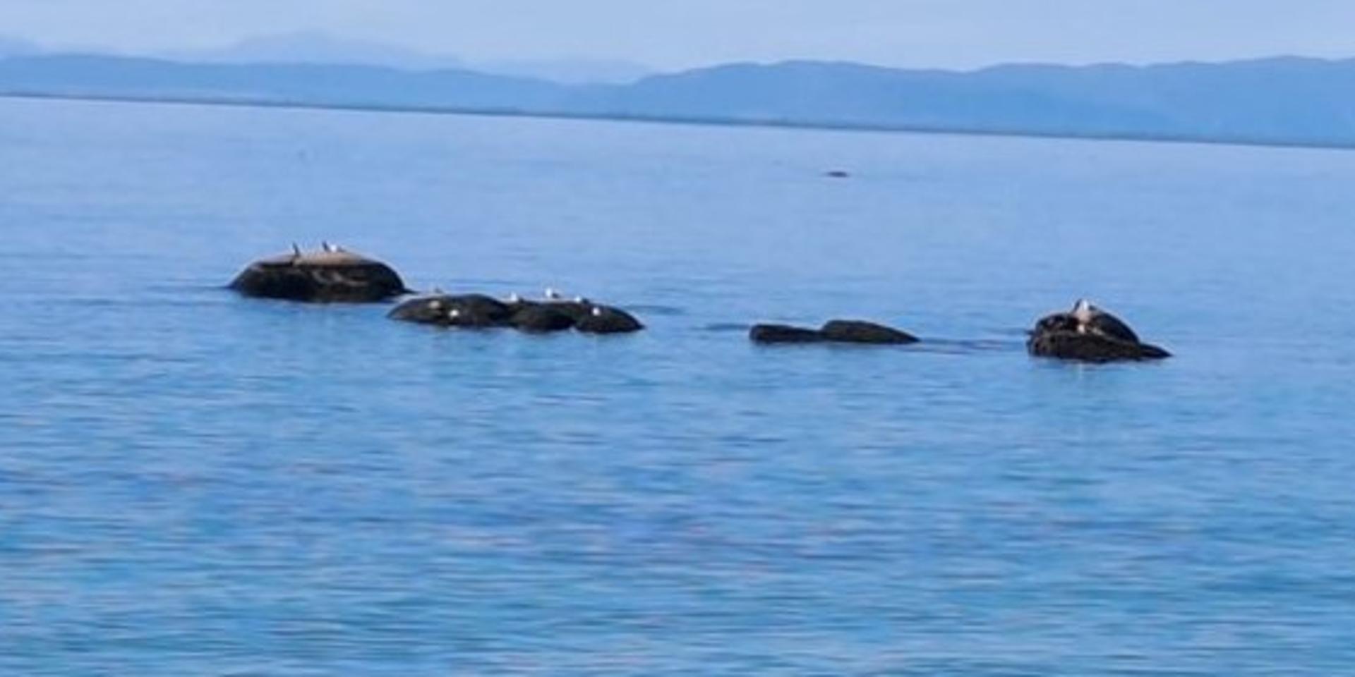 Image 4 of 6