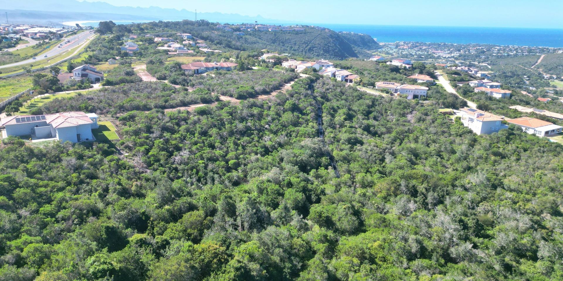Image 5 of 6
