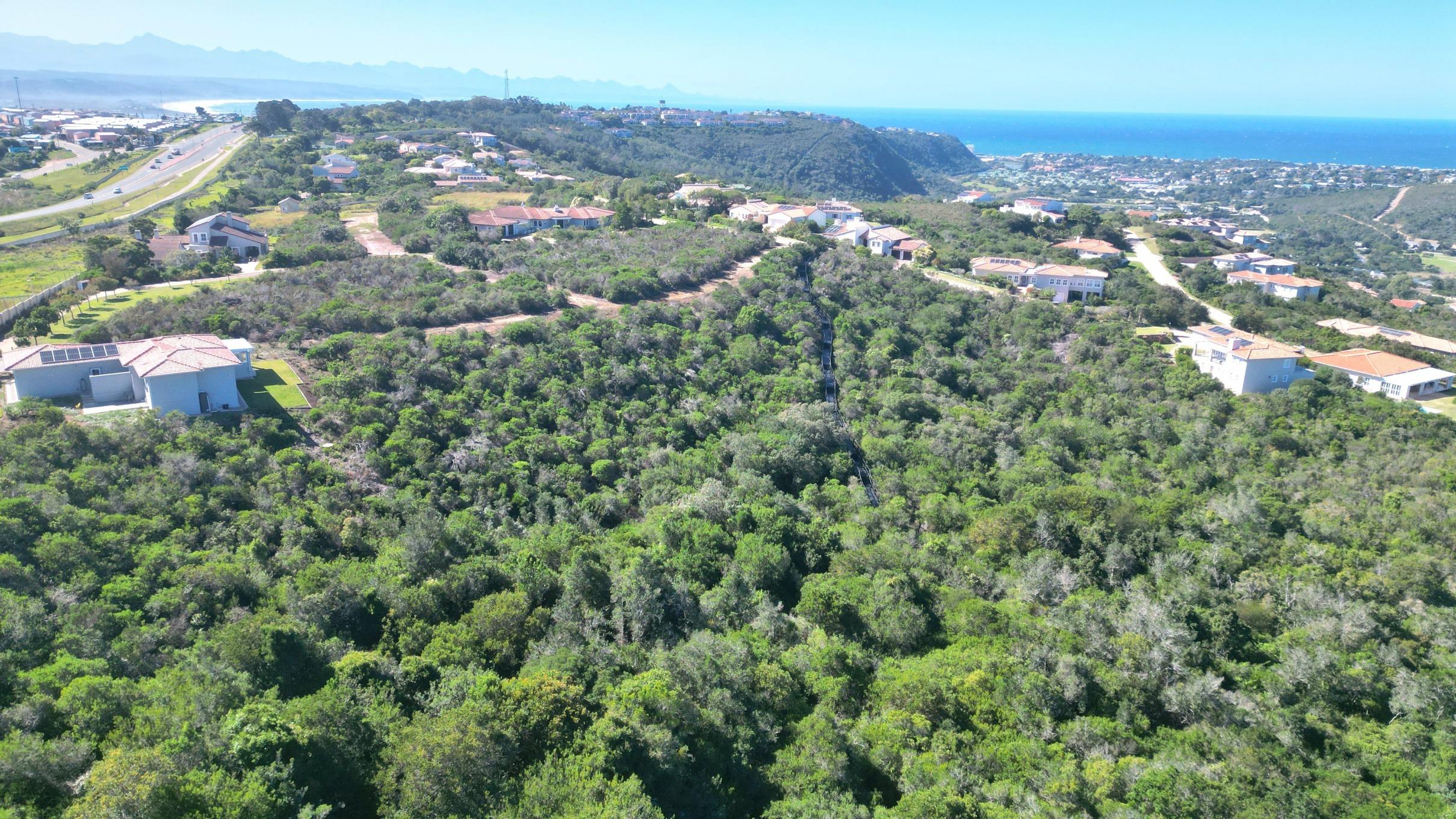 Image 5 of 6