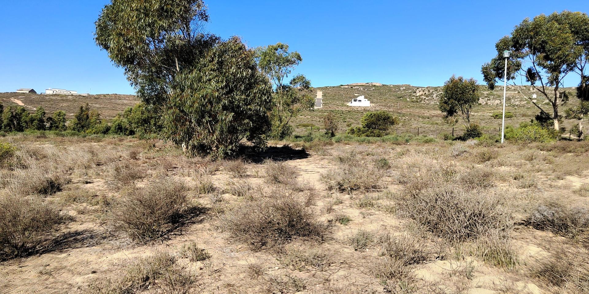 Image 4 of 6