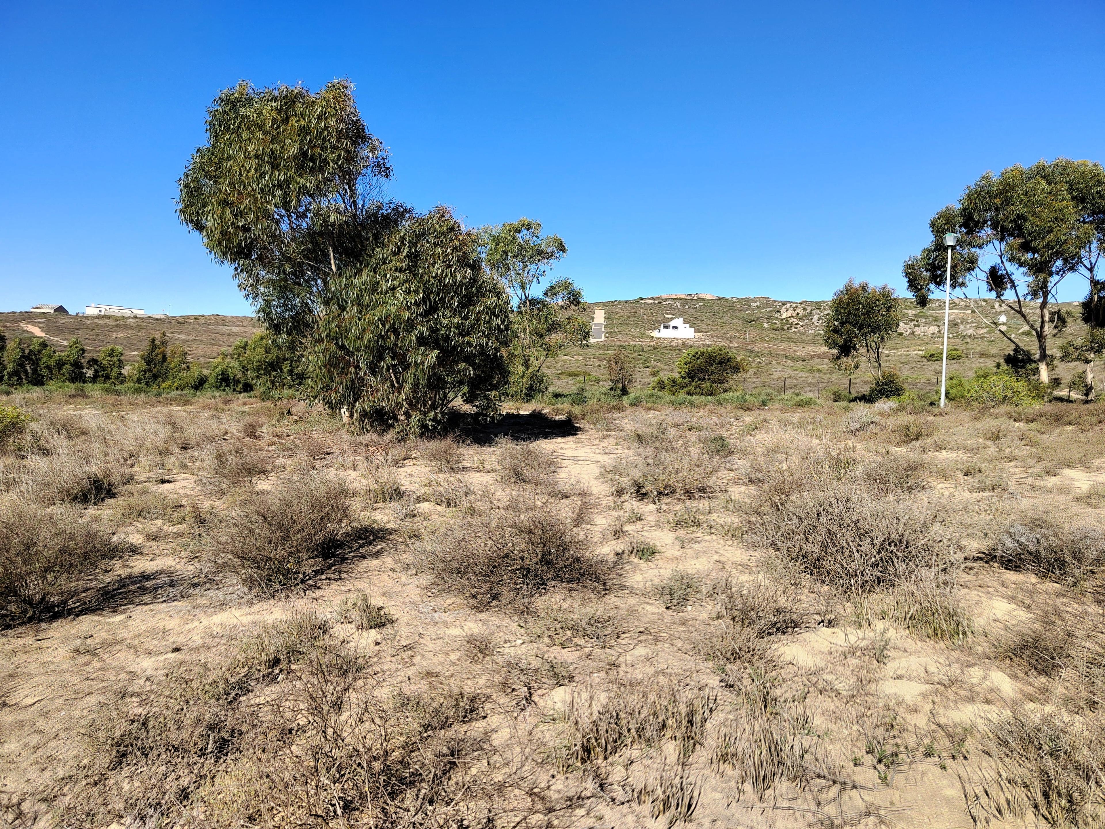 Image 4 of 6