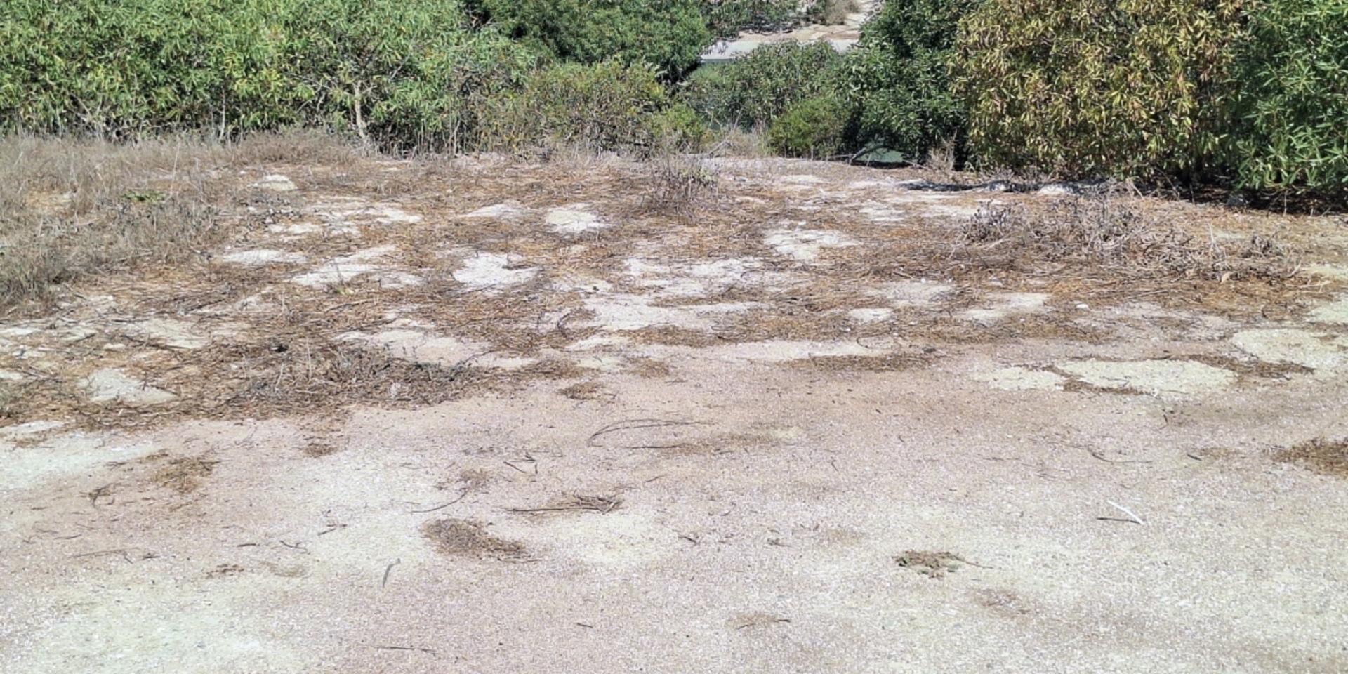 Image 4 of 6