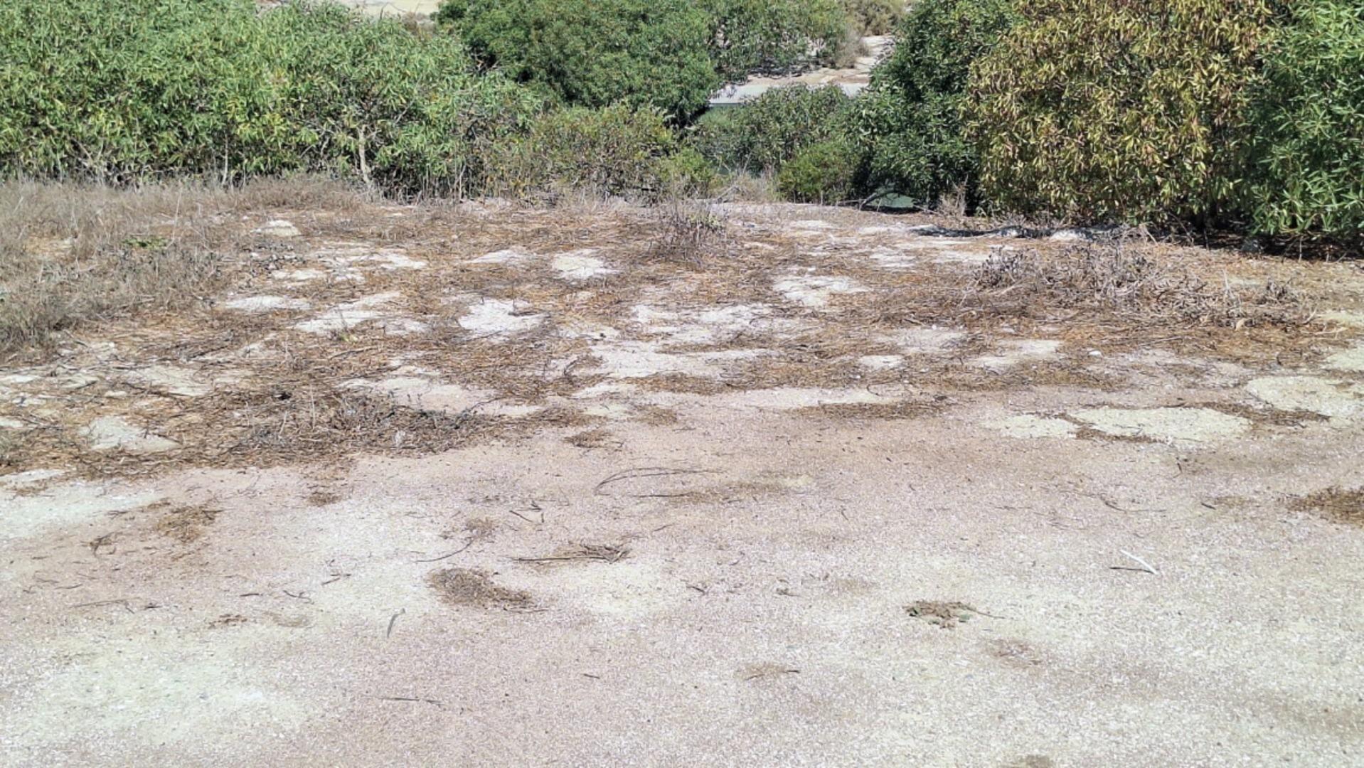 Image 4 of 6