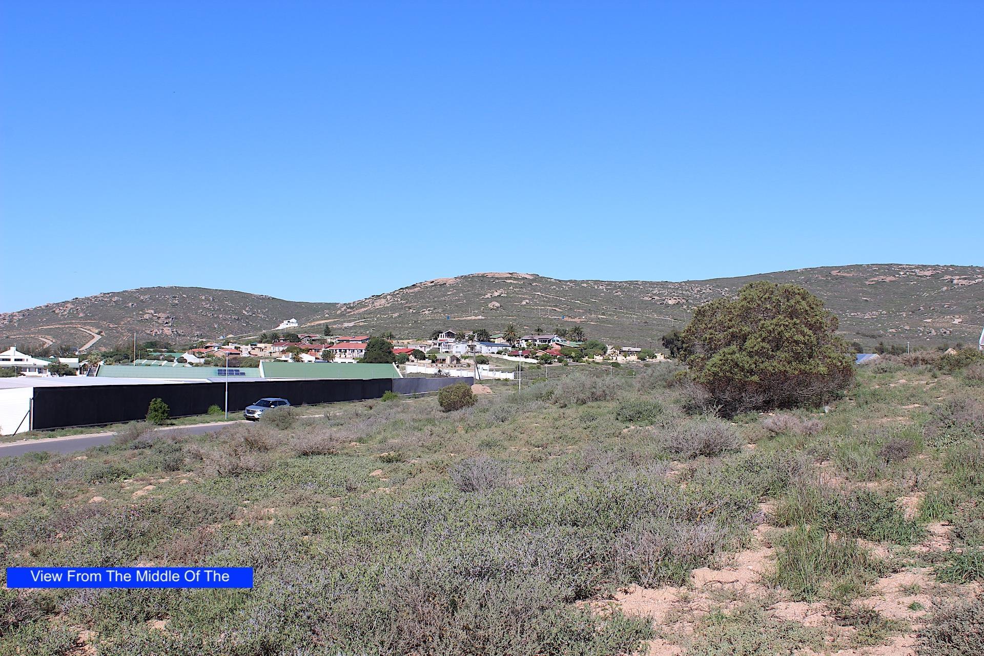 Image 11