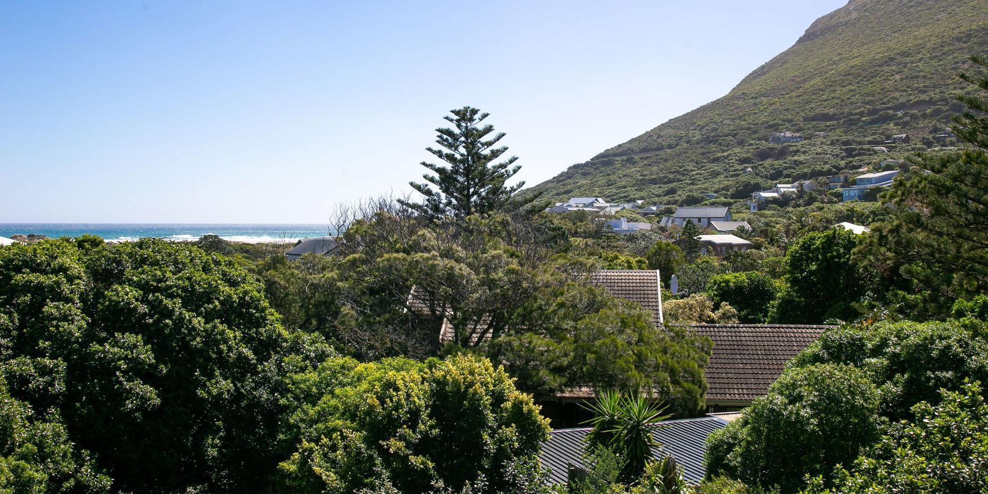 Image 5 of 6