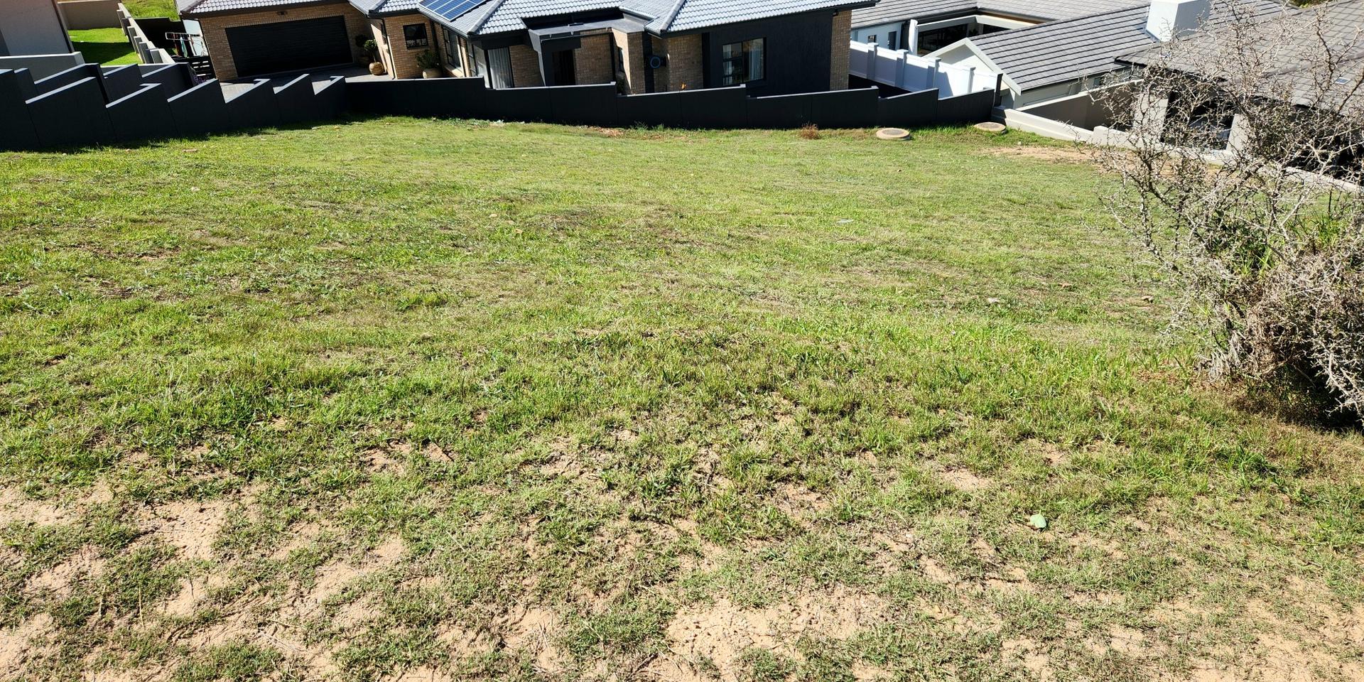 Image 5 of 6