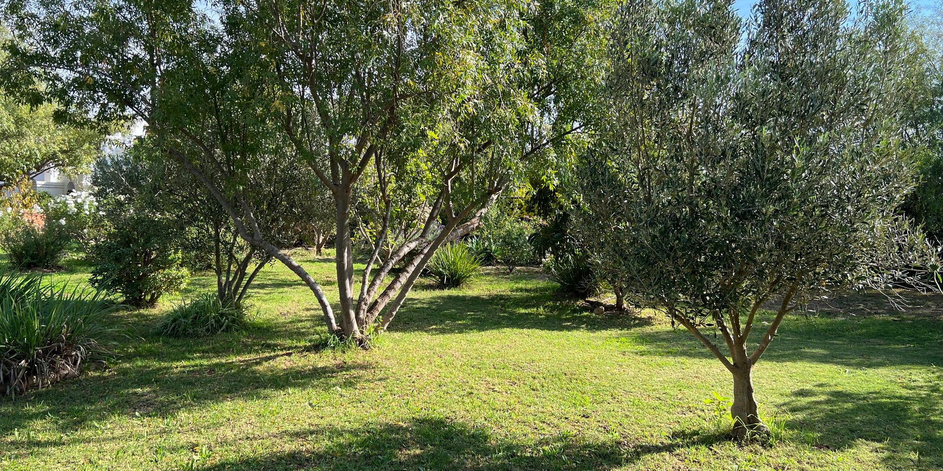 Image 3 of 6