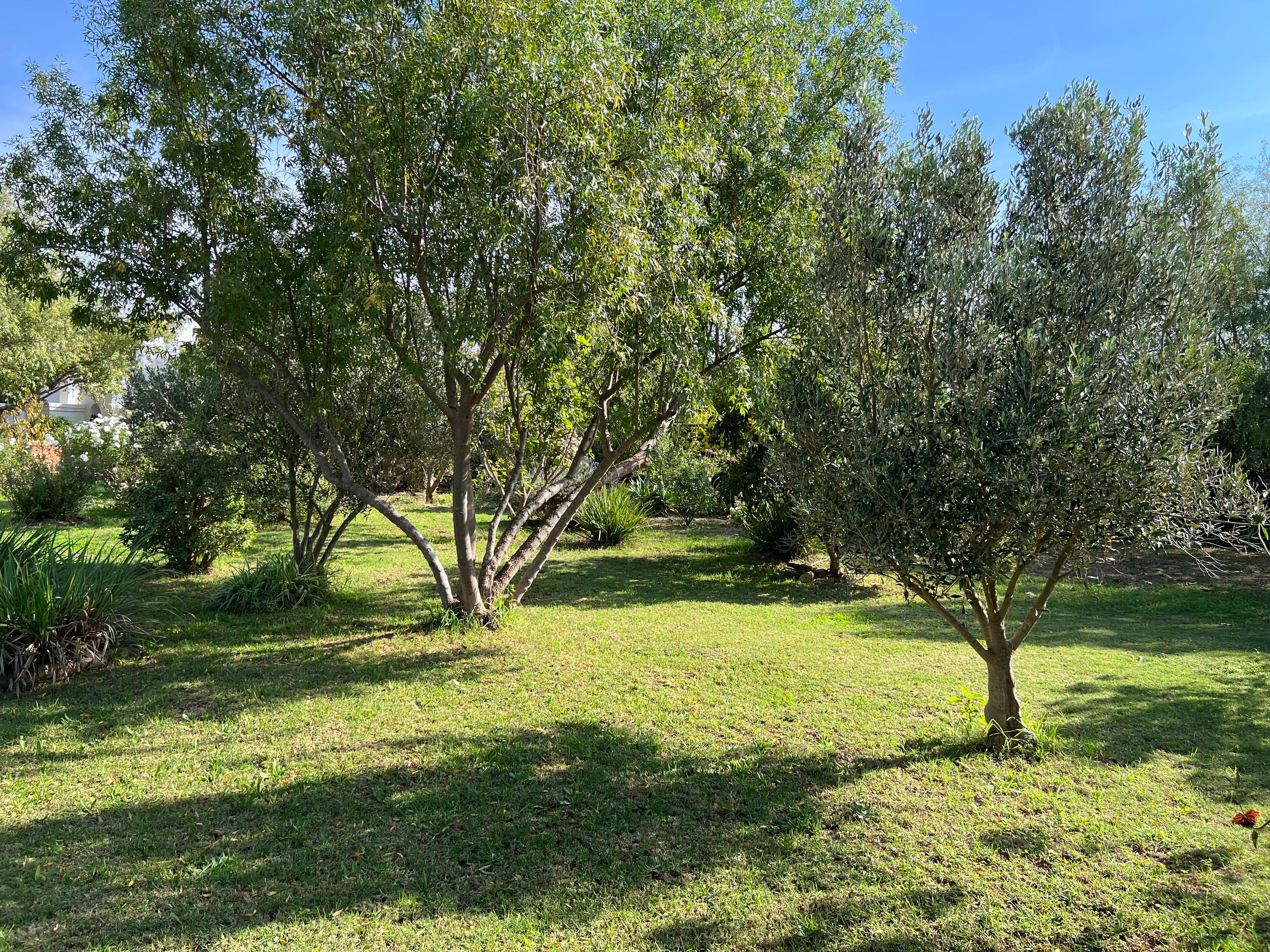 Image 3 of 6