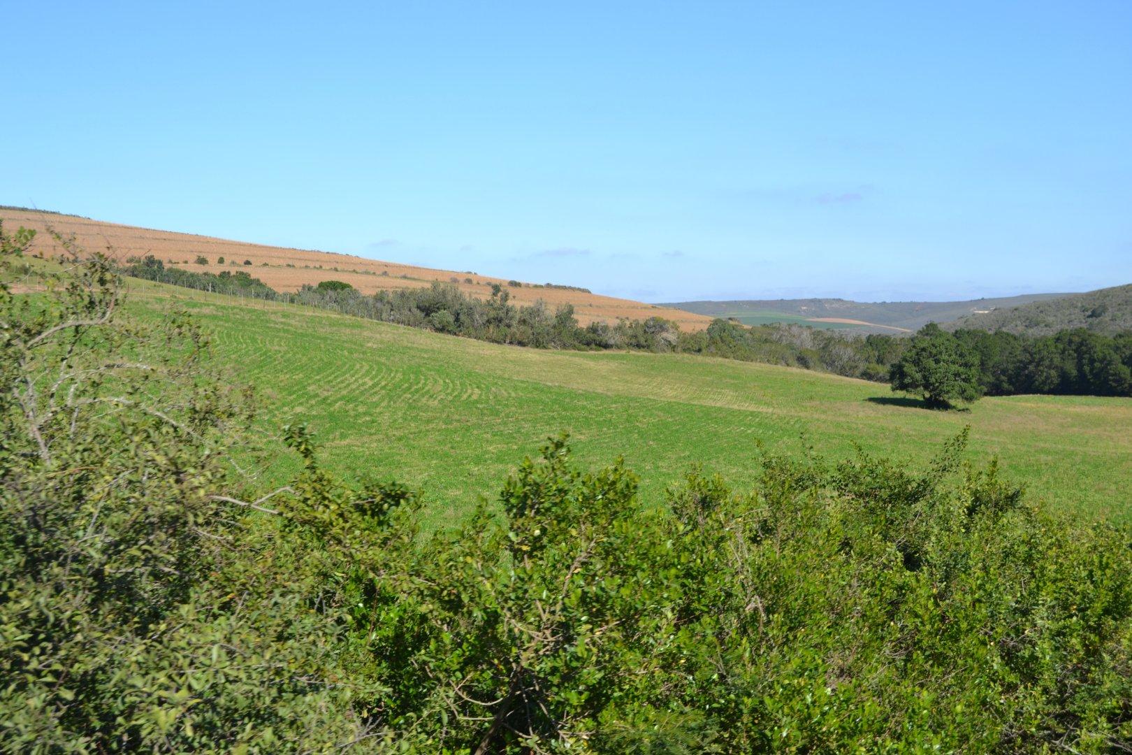 Image 5 of 6