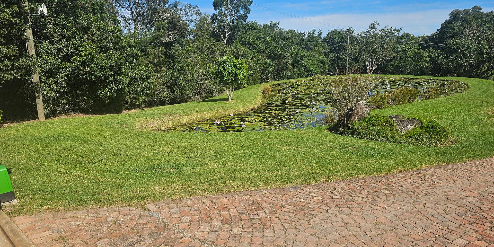 Image 5 of 6