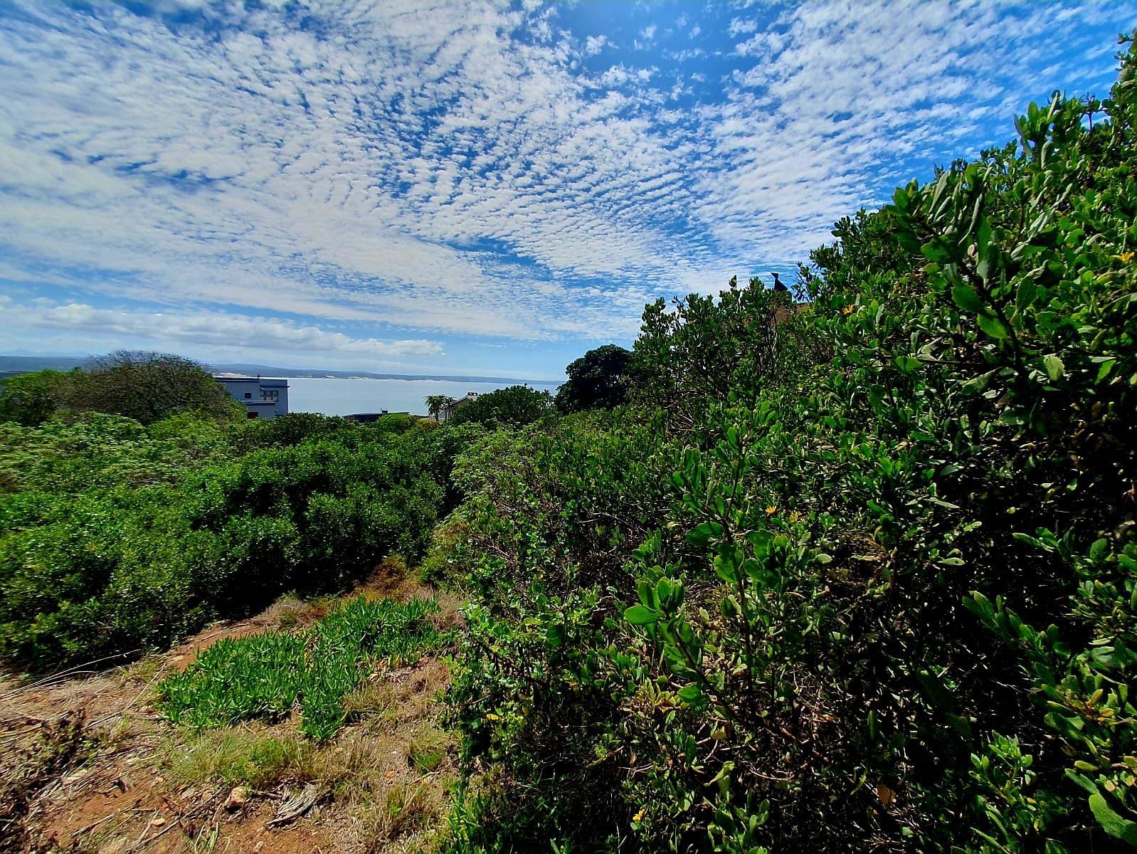 Image 13