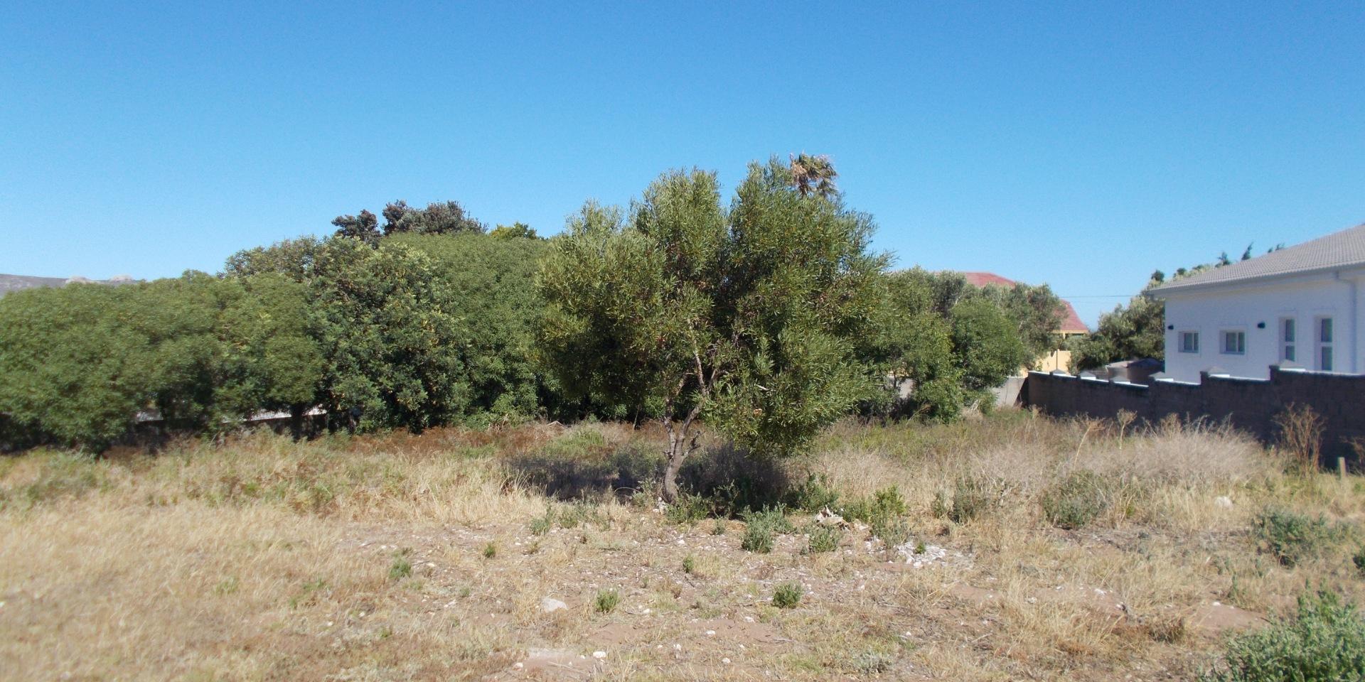 Image 3 of 6