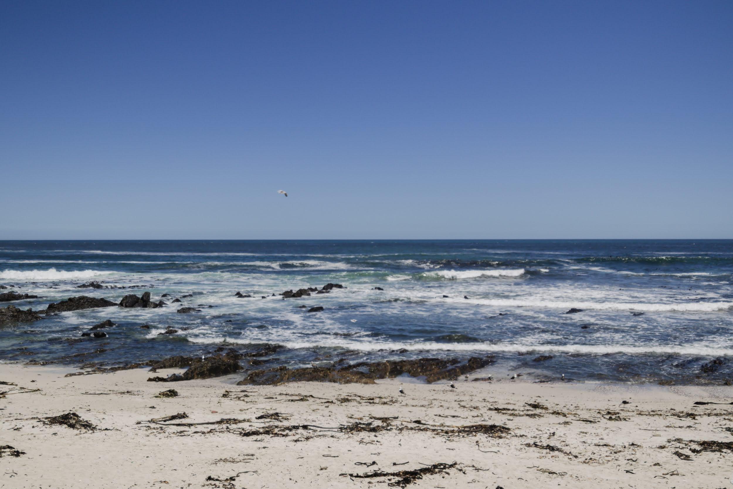Image 35