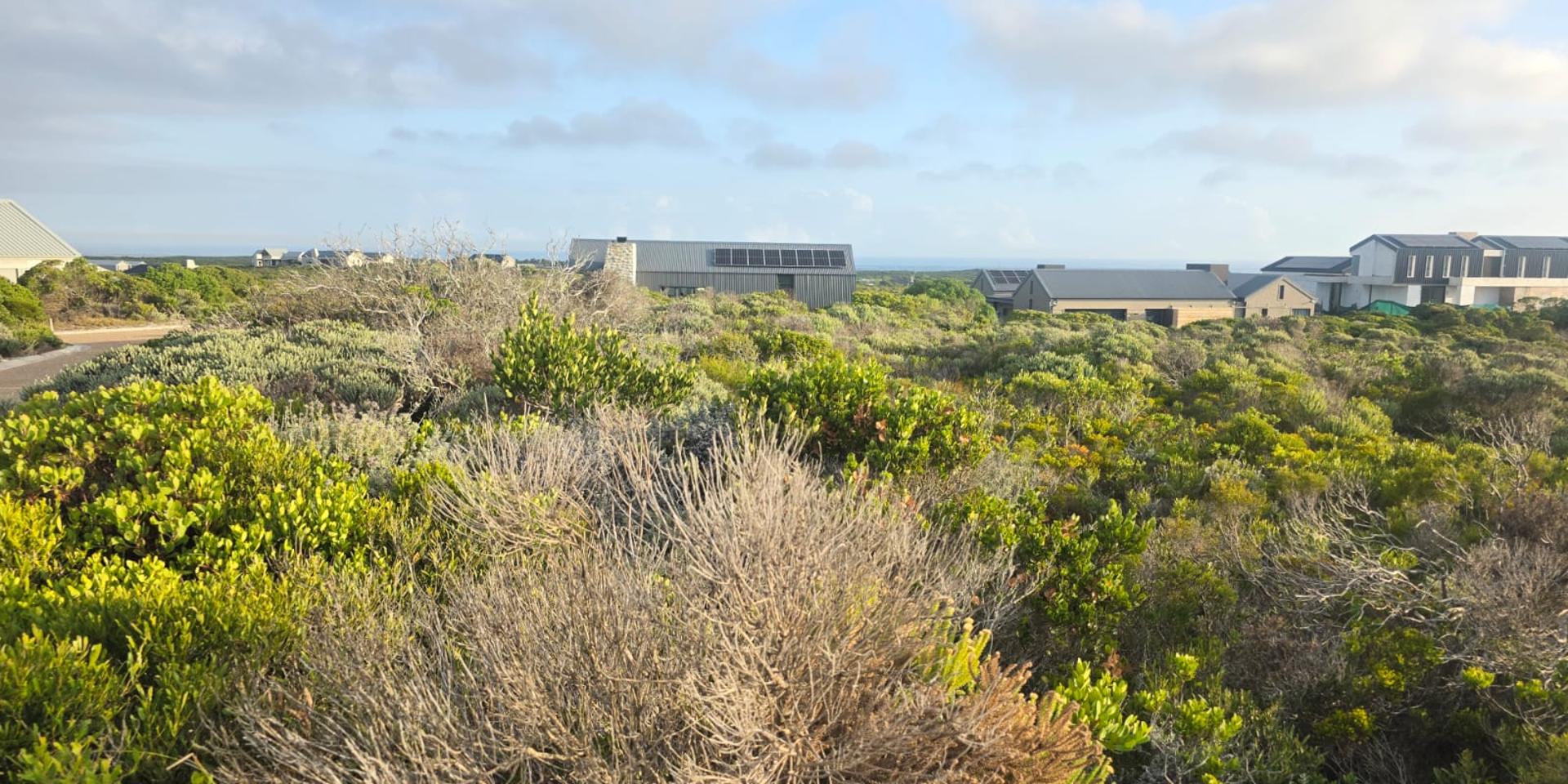 Image 4 of 6