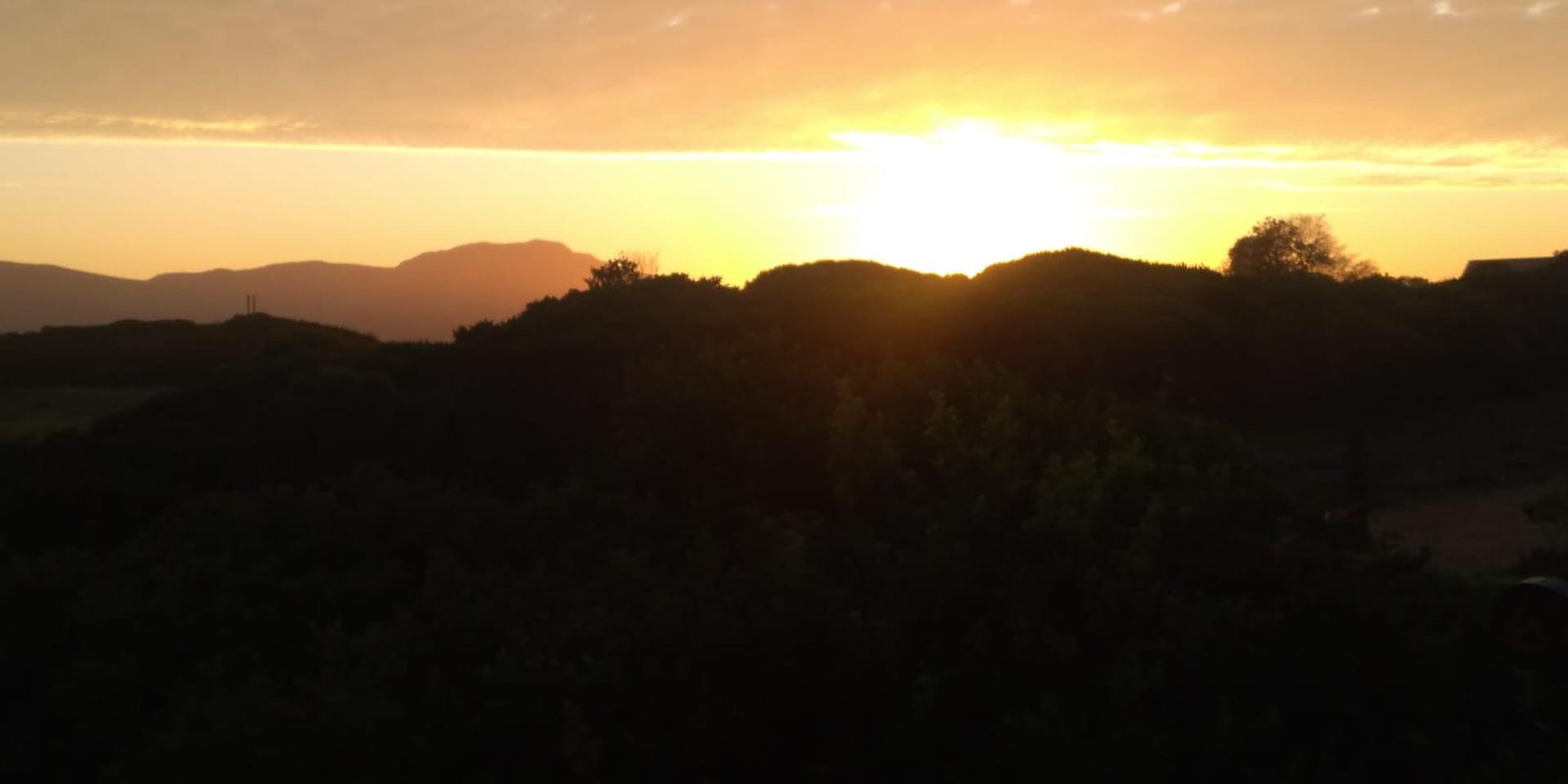 Image 2 of 6