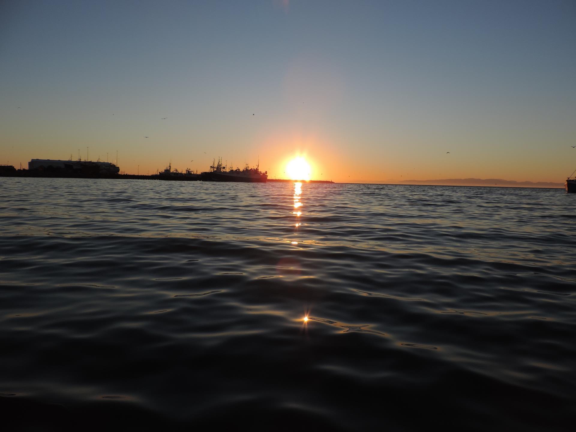 Image 15
