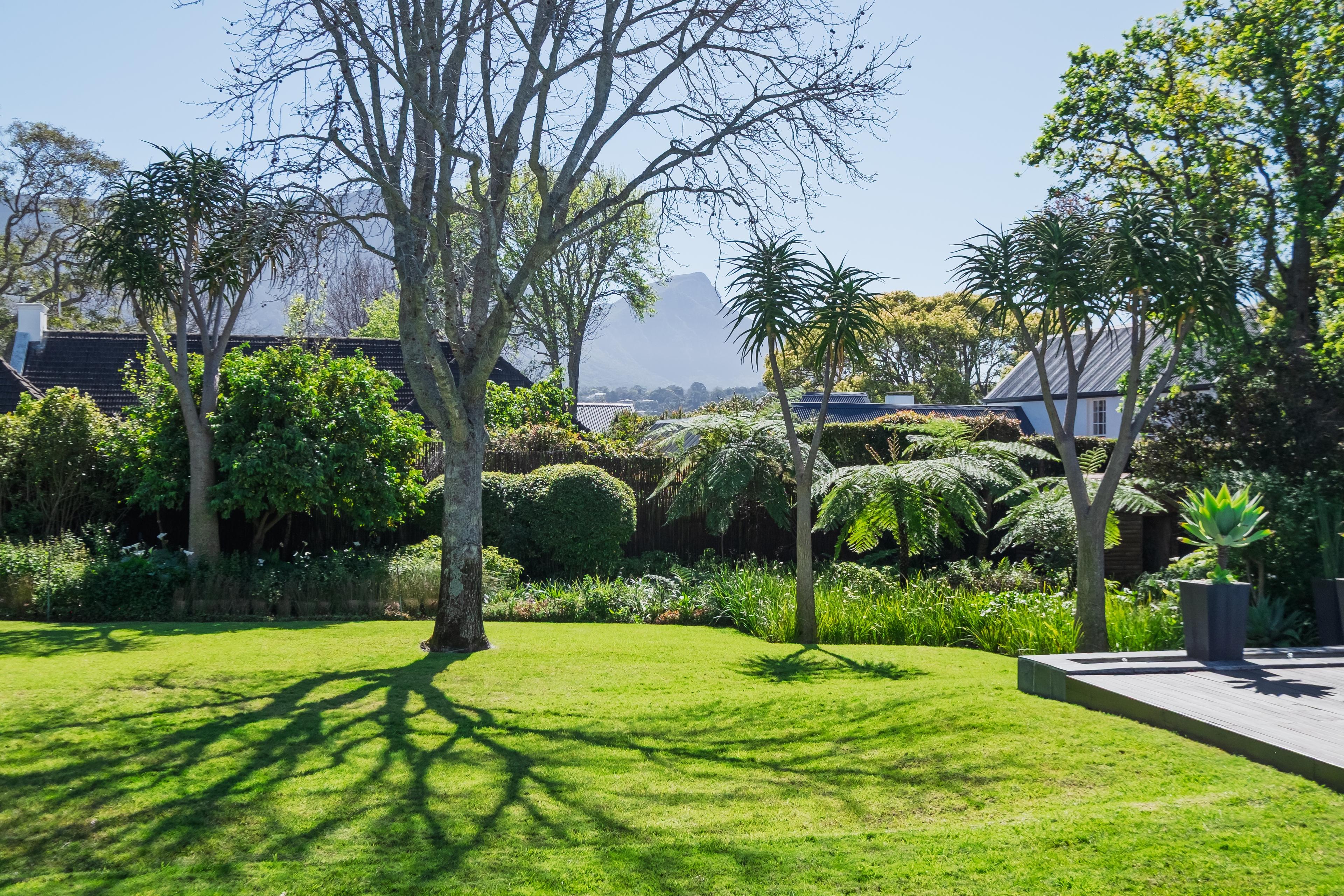 Image 3 of 6