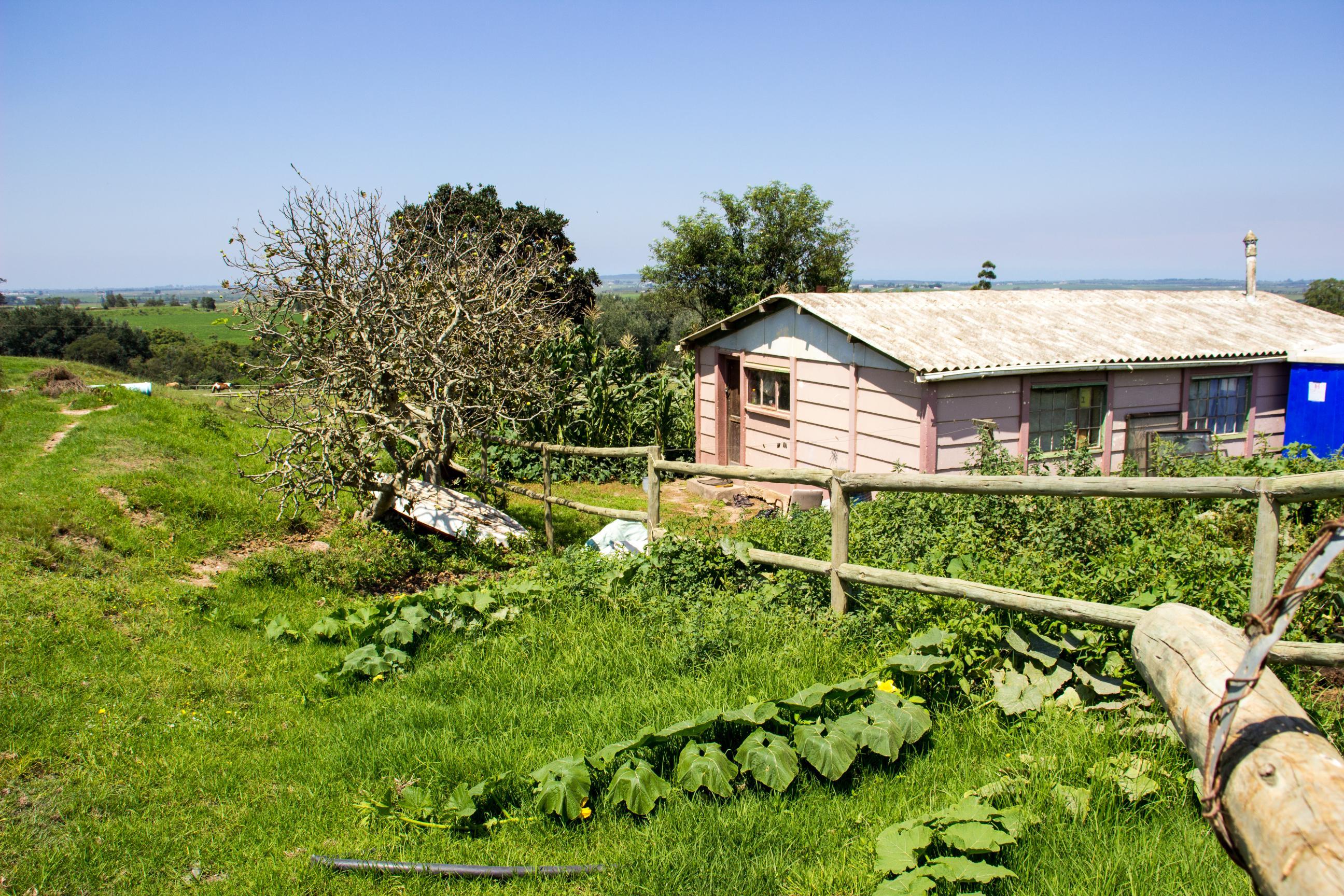 Image 28