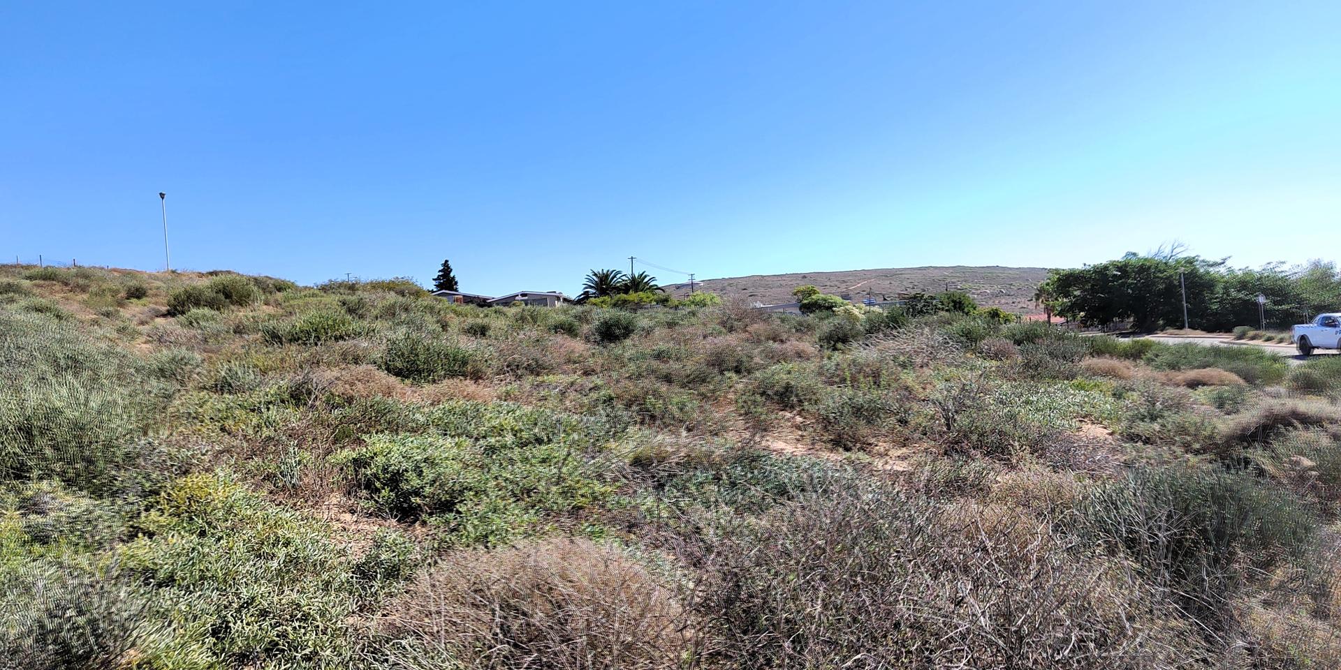 Image 4 of 6