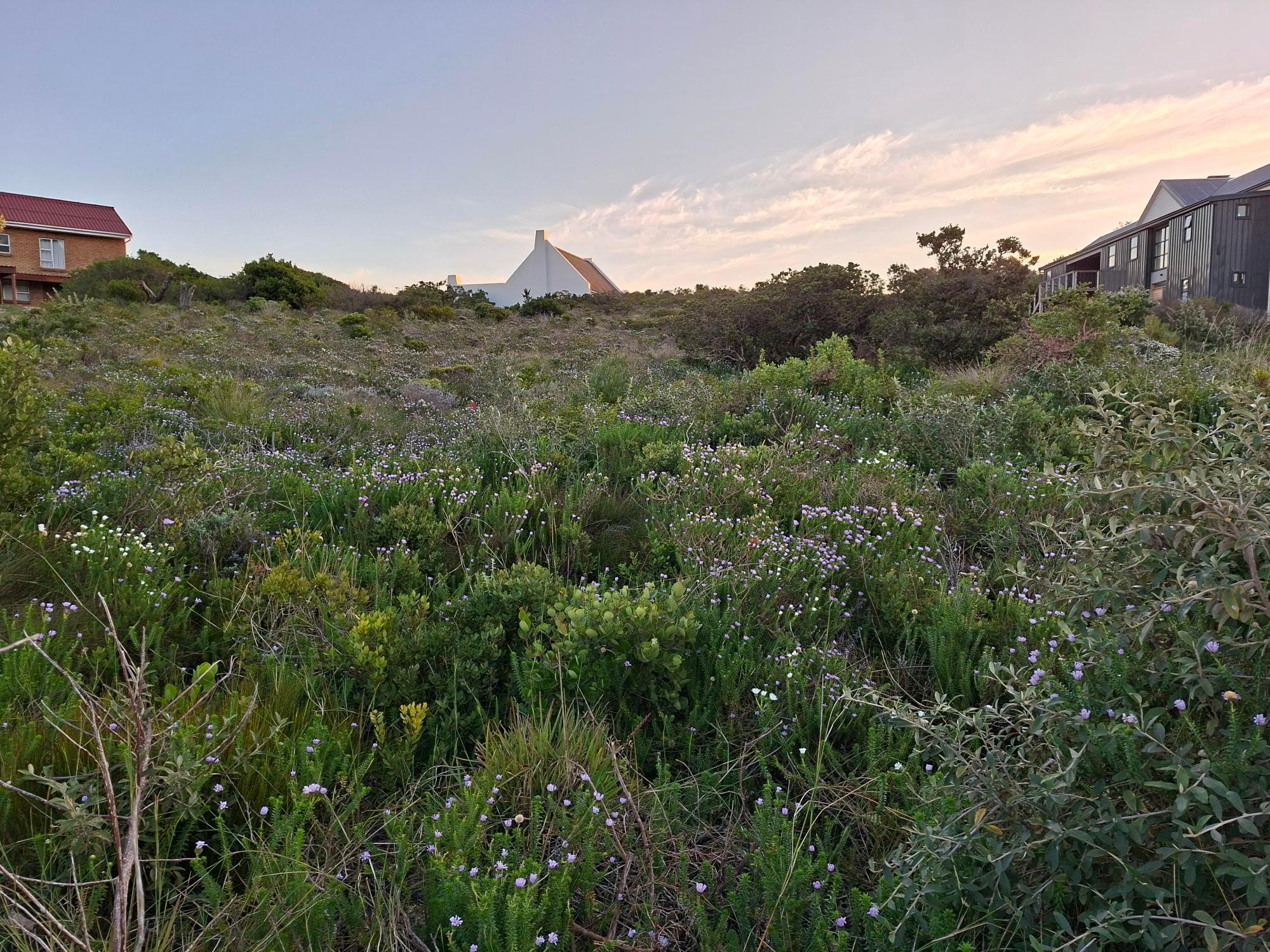 Image 4 of 6
