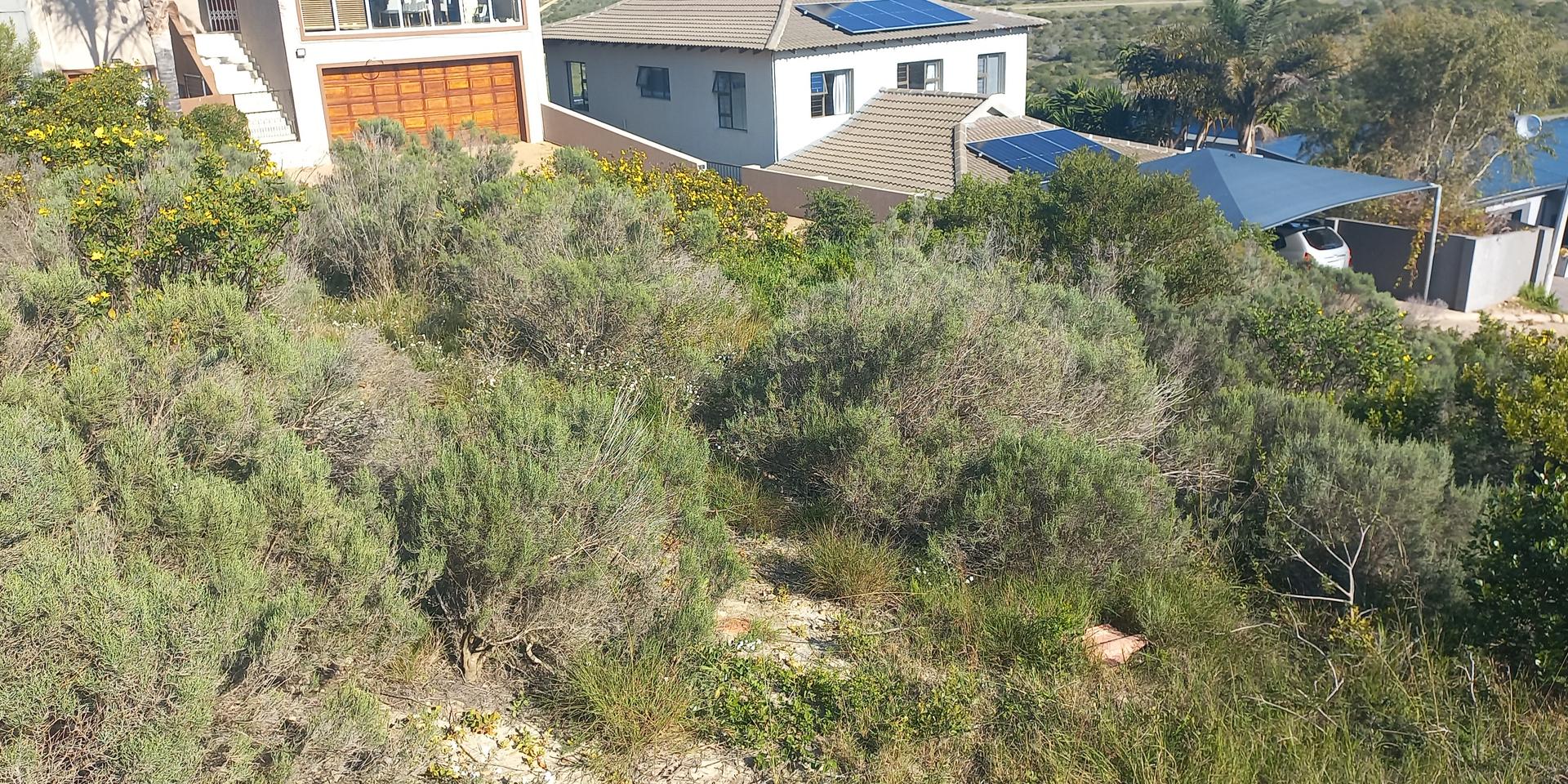 Image 5 of 6