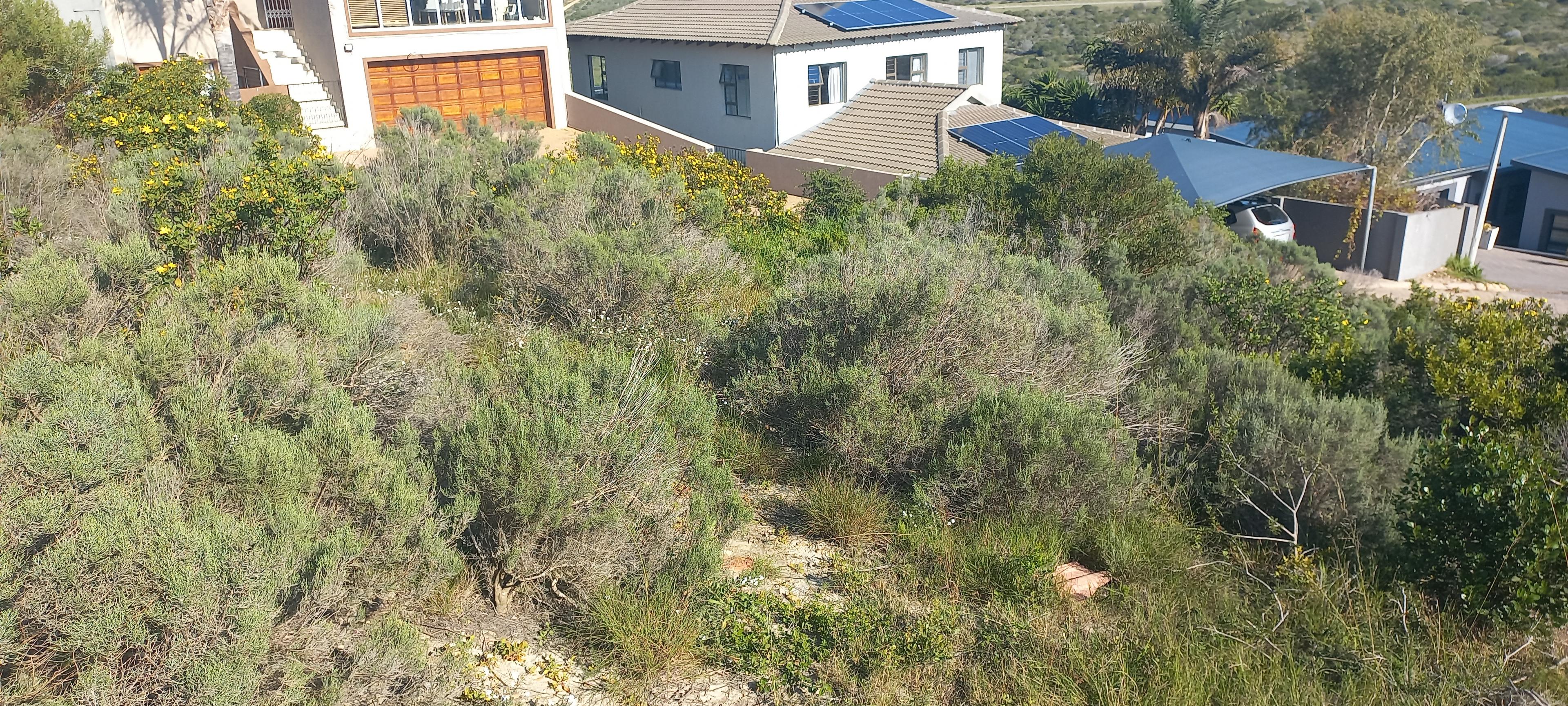 Image 5 of 6