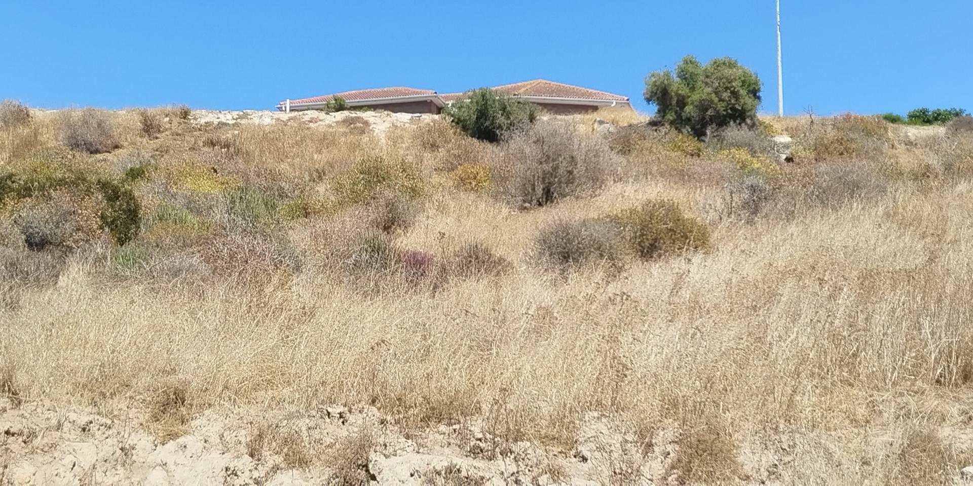 Image 5 of 6